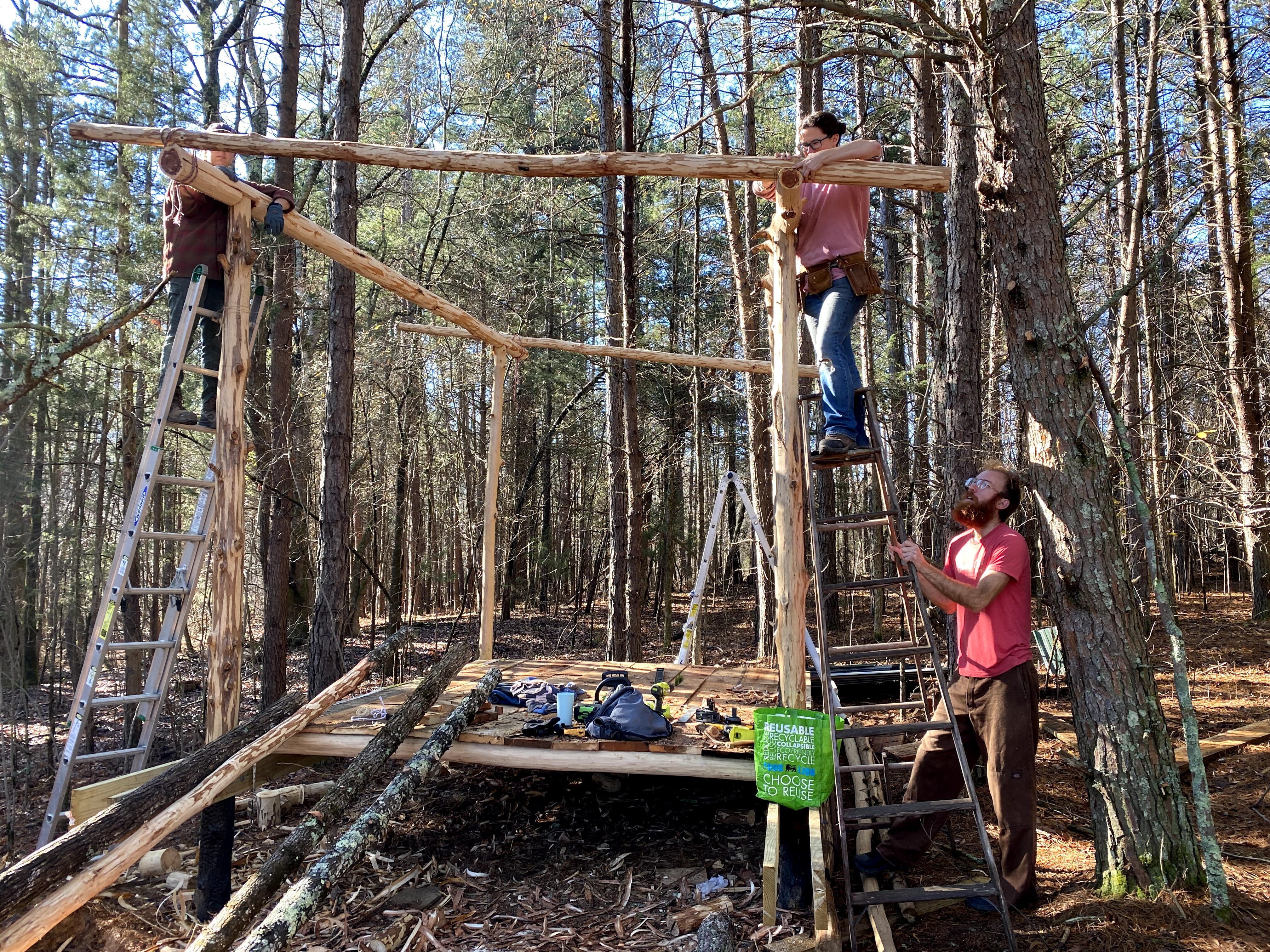 People building a treehouse in a forest with ladders and wooden beams.