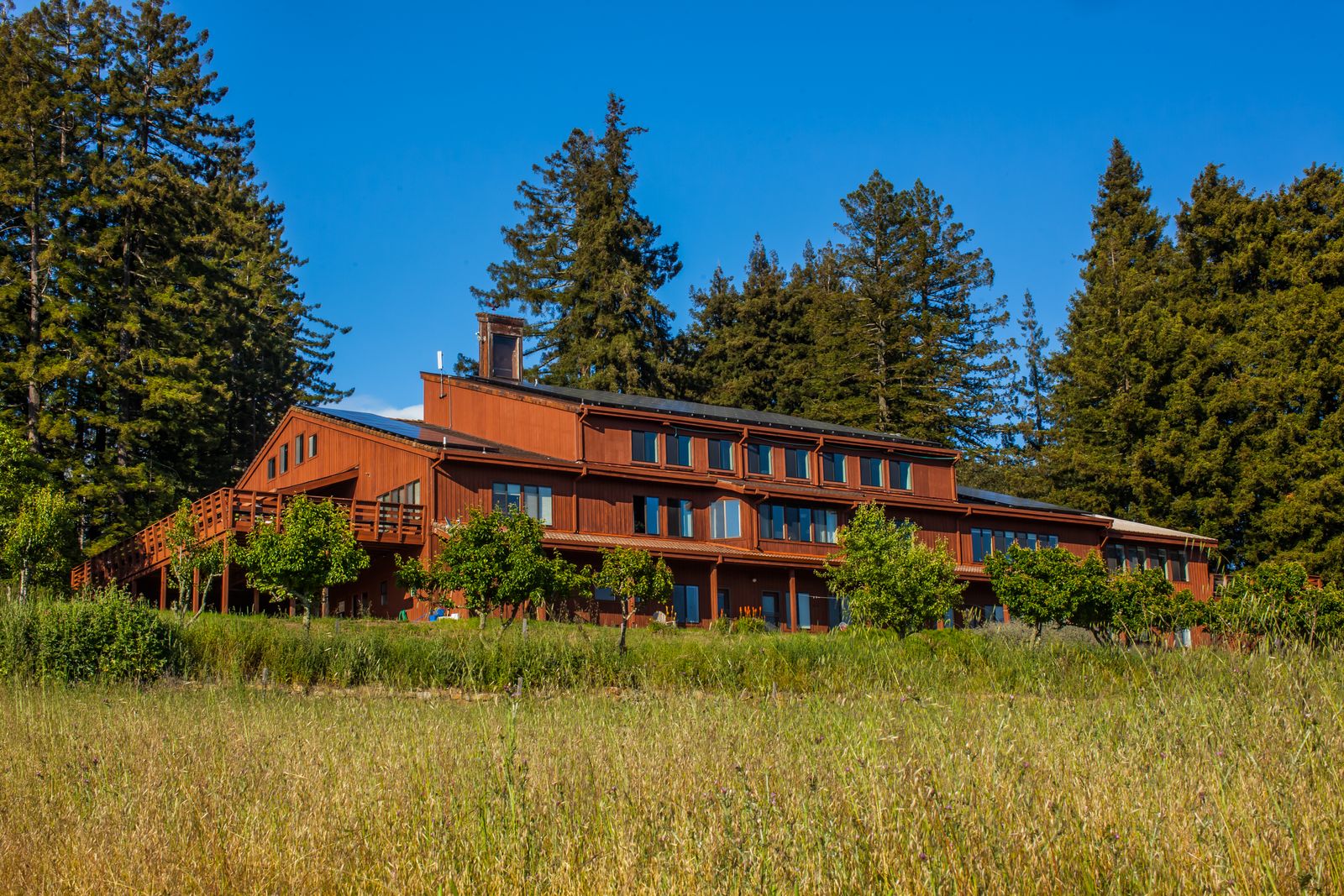 Large wooden building surrounded by trees at Mount Madonna Center.
