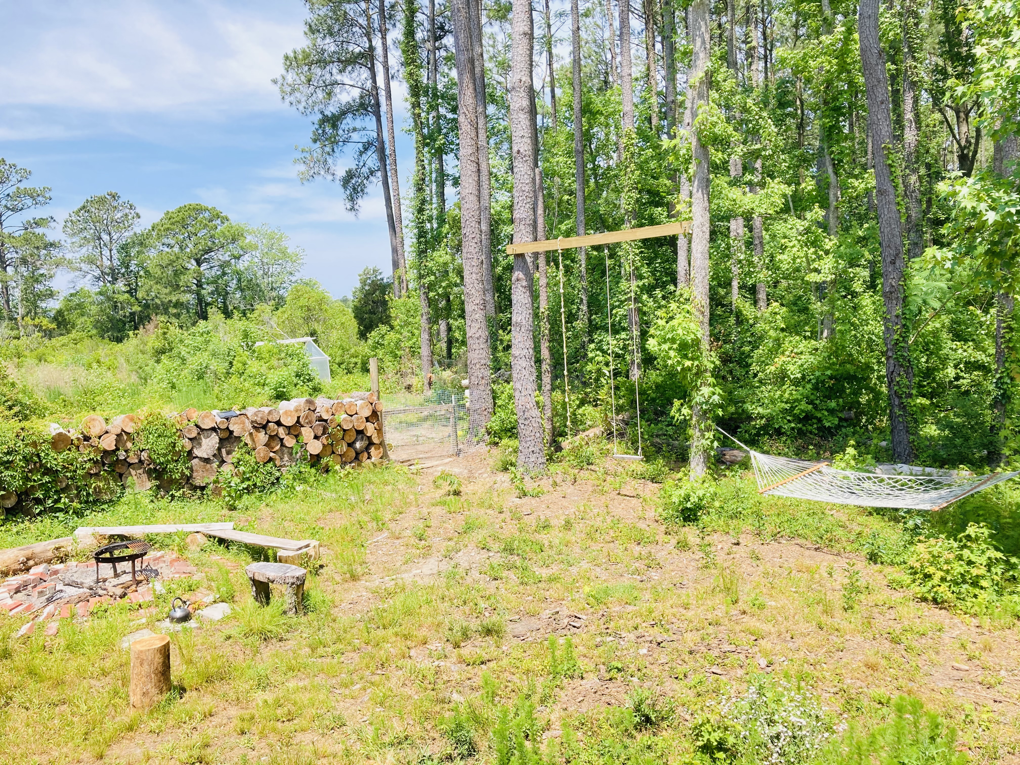 Scenic view of a forested area with hammocks and fire pit at Aurora eco village.