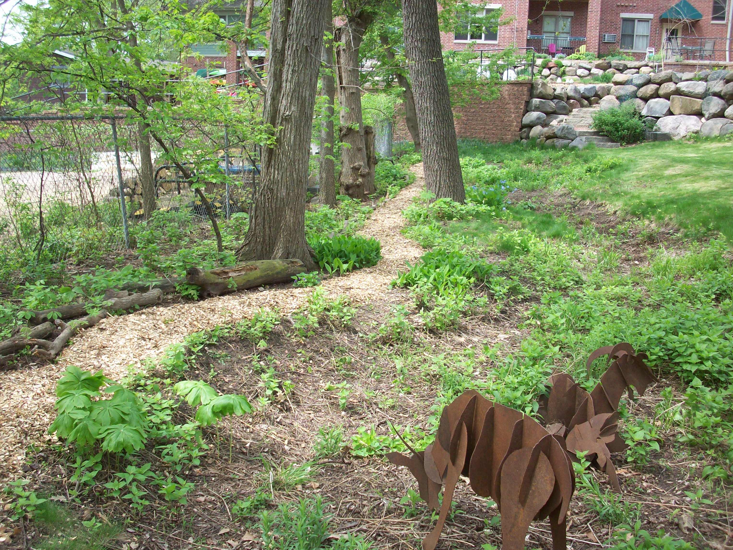 Lush community garden with trees, plants, and a walking path at Arboretum Cohousing.
