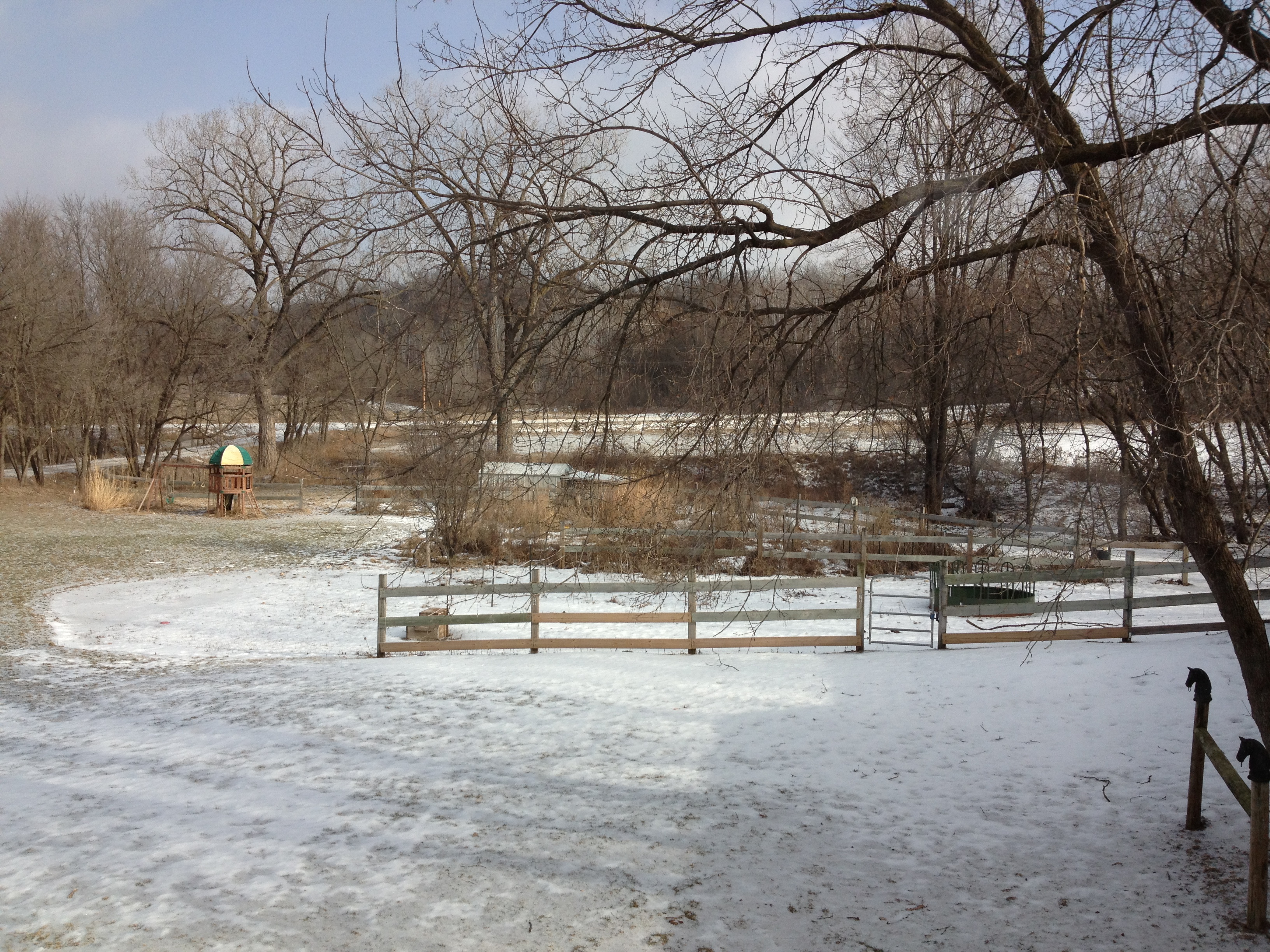 Snow-covered landscape with trees and a pond at Mountains and Waters Alliance.