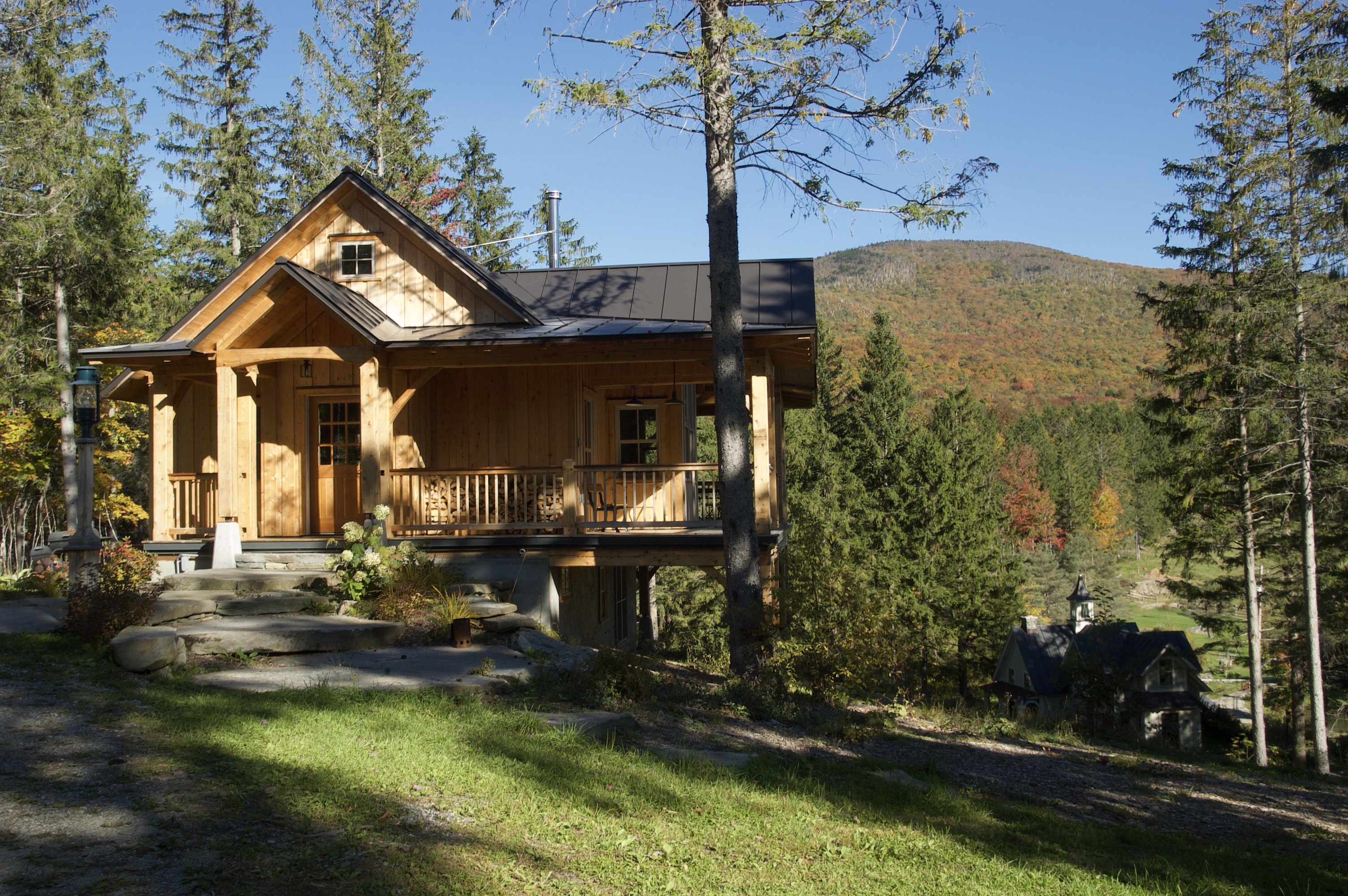 Cozy wooden cabin surrounded by trees in a forested area.