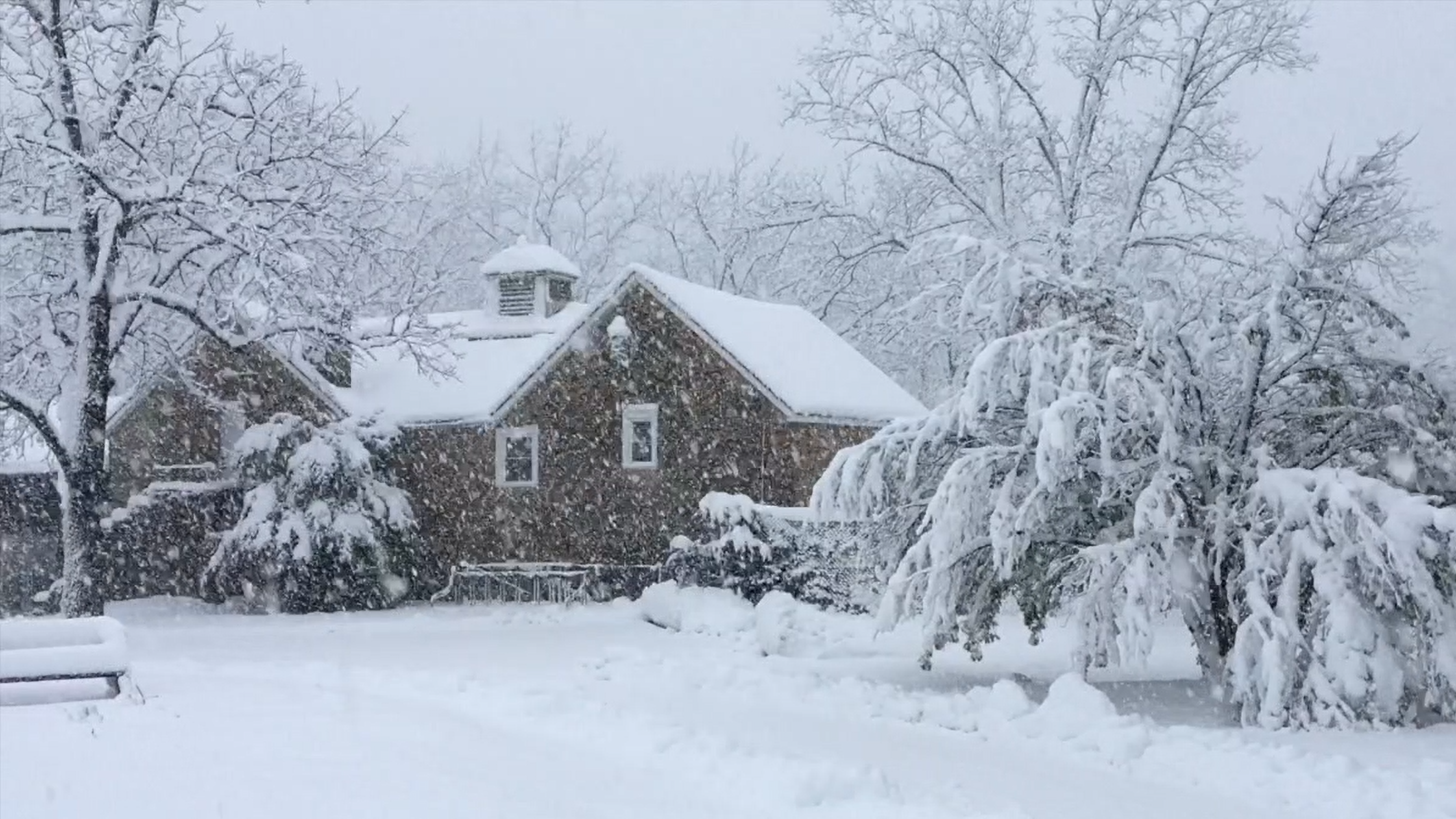 Snow-covered house and trees at Bryn Gweled Homesteads in winter.