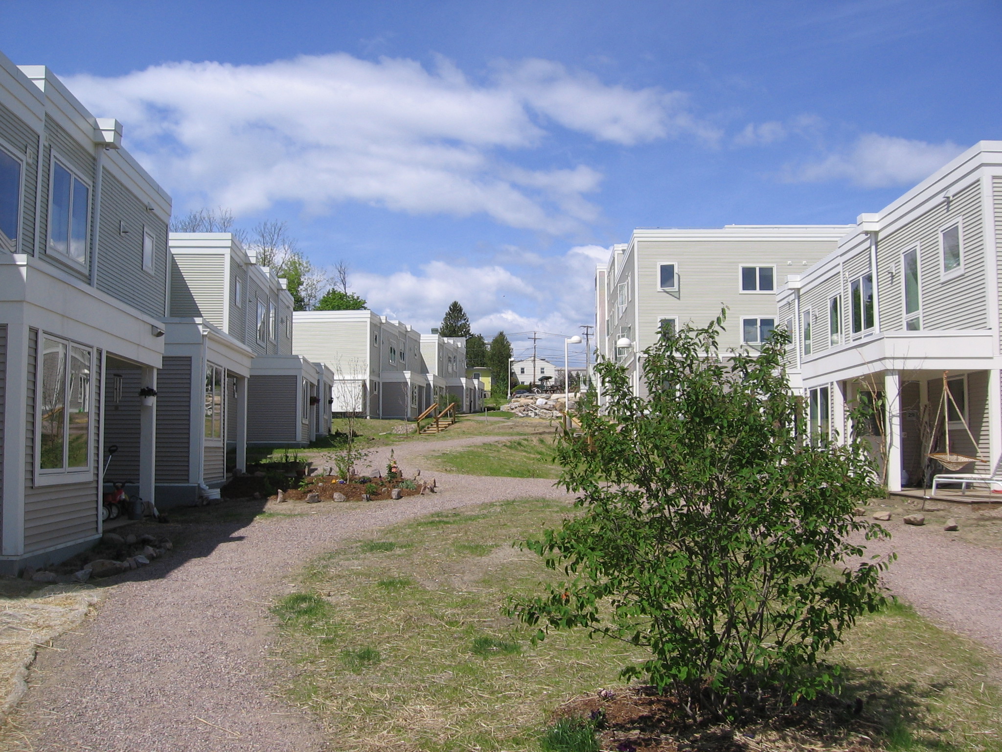Modern cohousing homes in Burlington East Village with green space and pathways.
