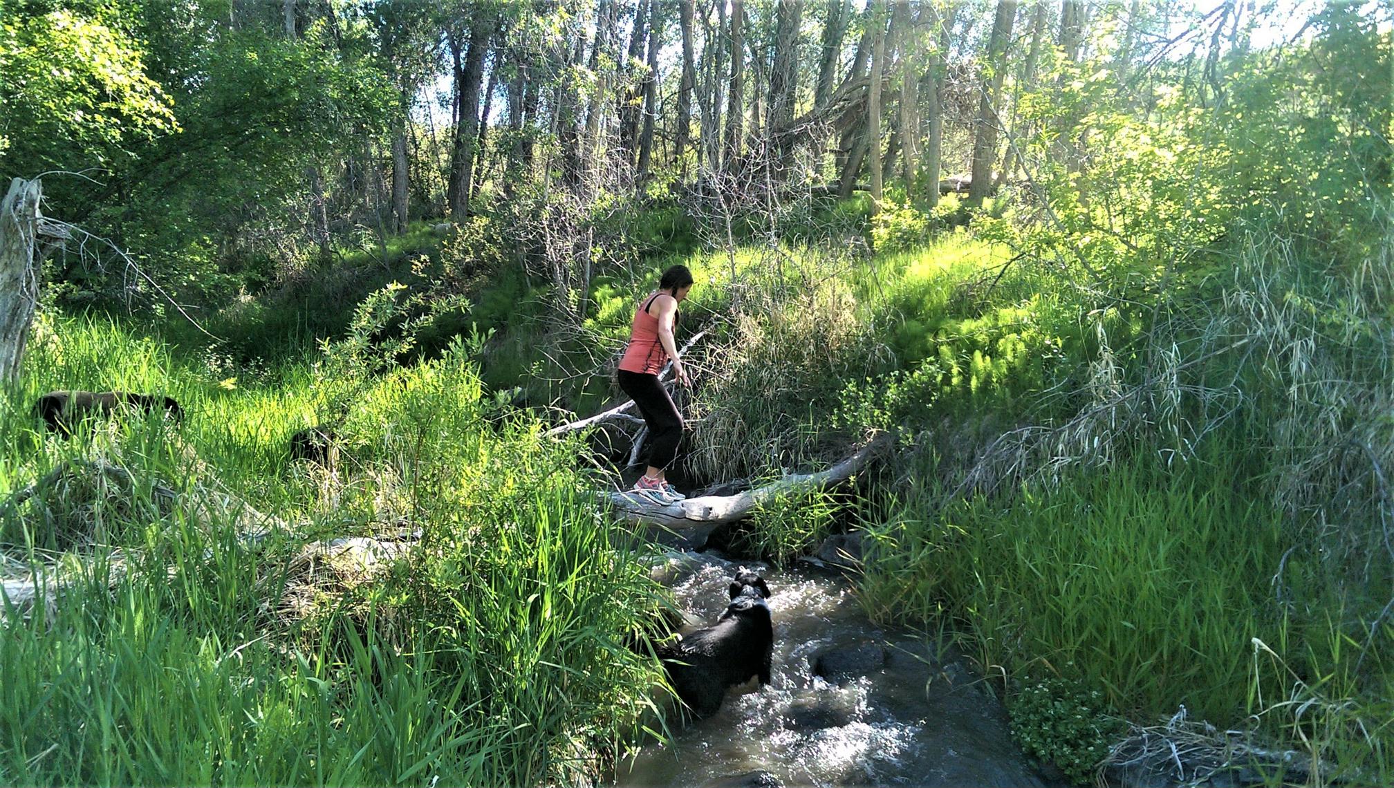 Person crossing a small stream in a lush green forest setting.