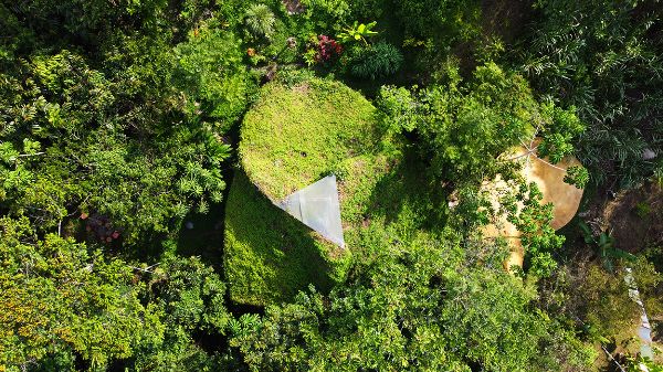 Aerial view of dense green forest with a small clearing and pathway.