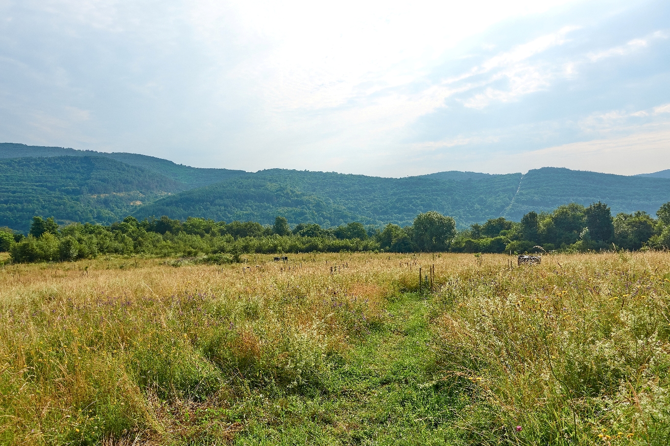 Open field with mountains in the background and a cloudy sky.