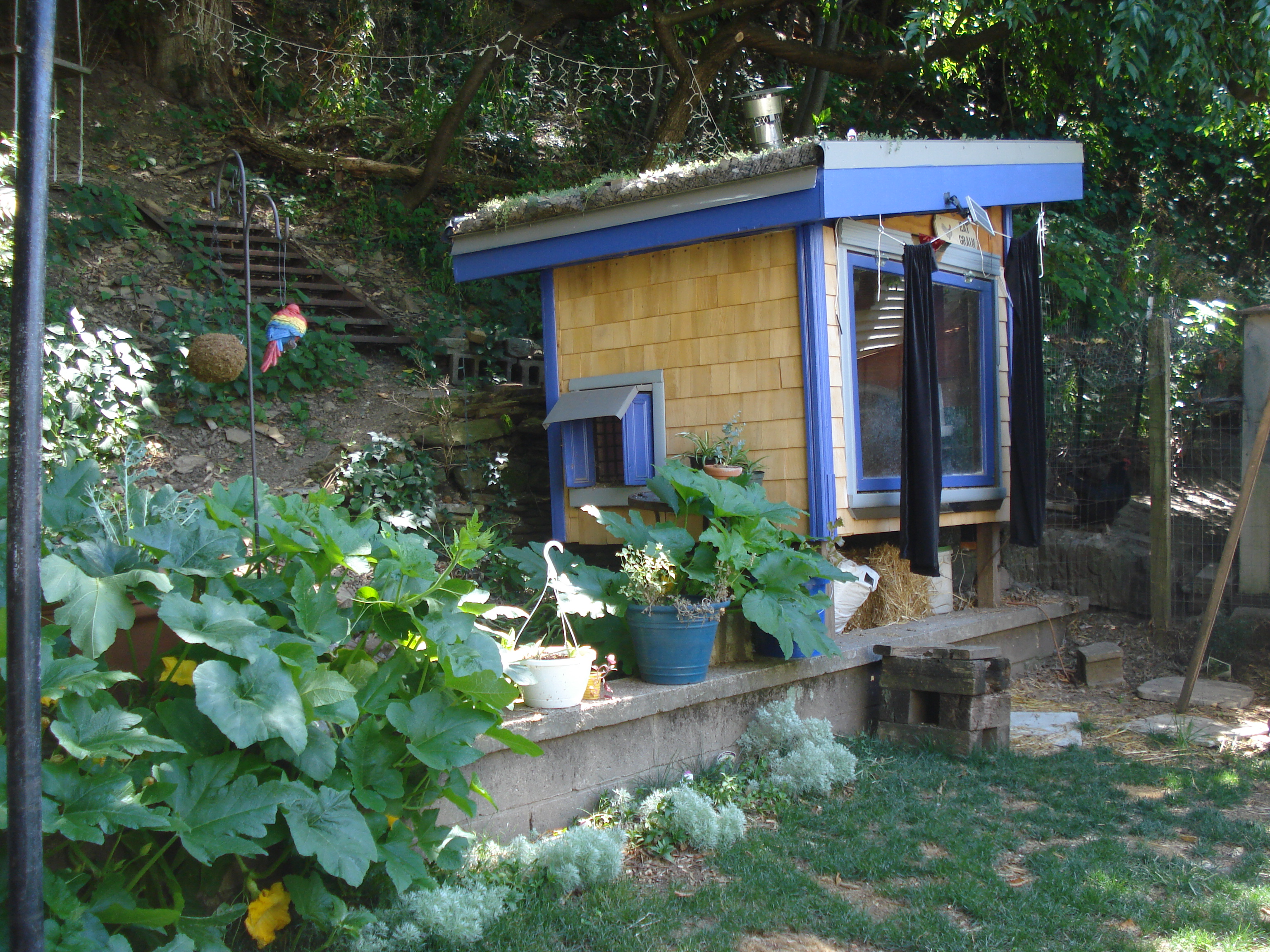 Colorful garden shed with plants and outdoor decor in a backyard setting.