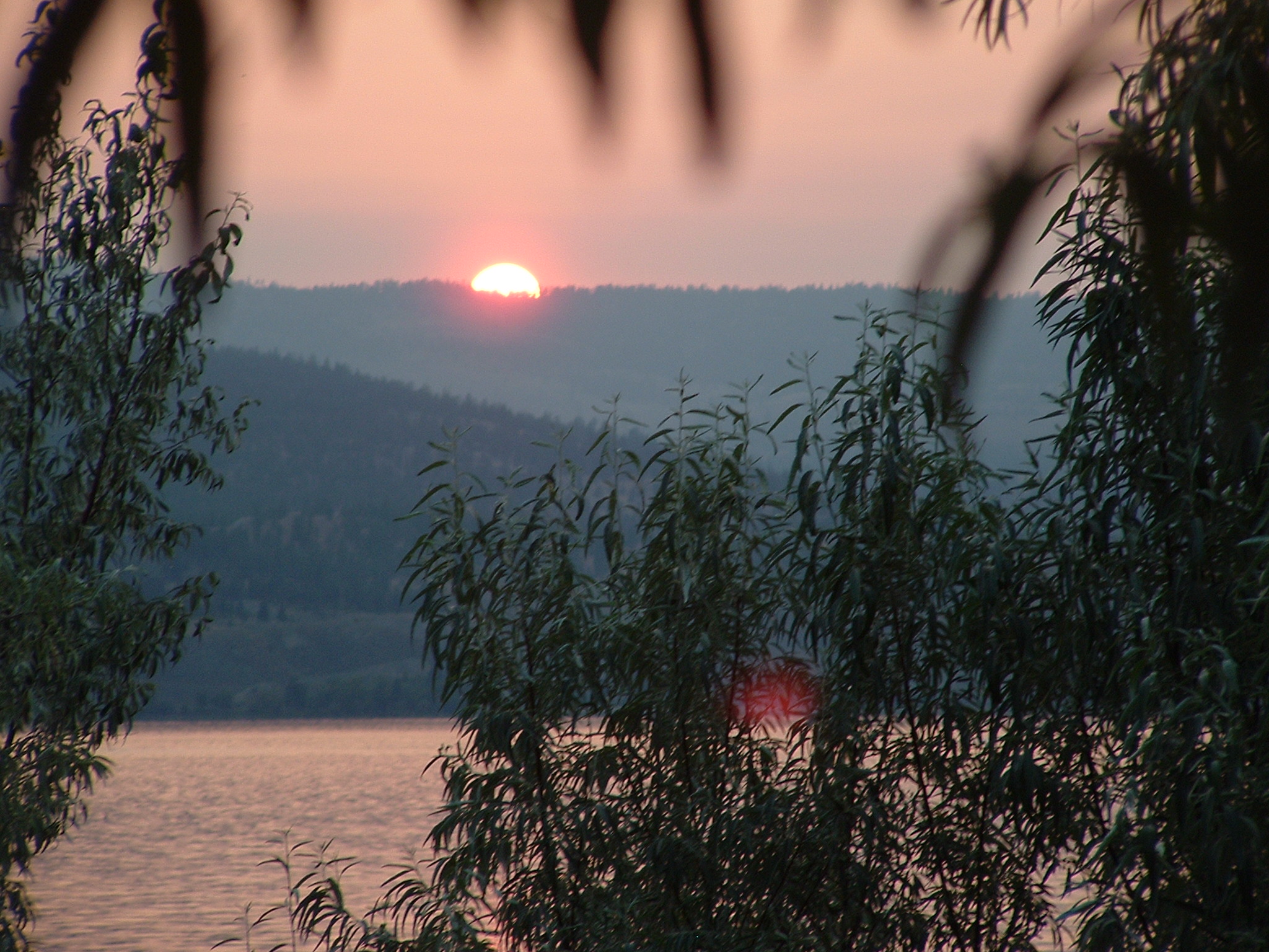 Sunset over mountains with trees in foreground at Foundation for Intentional Community.