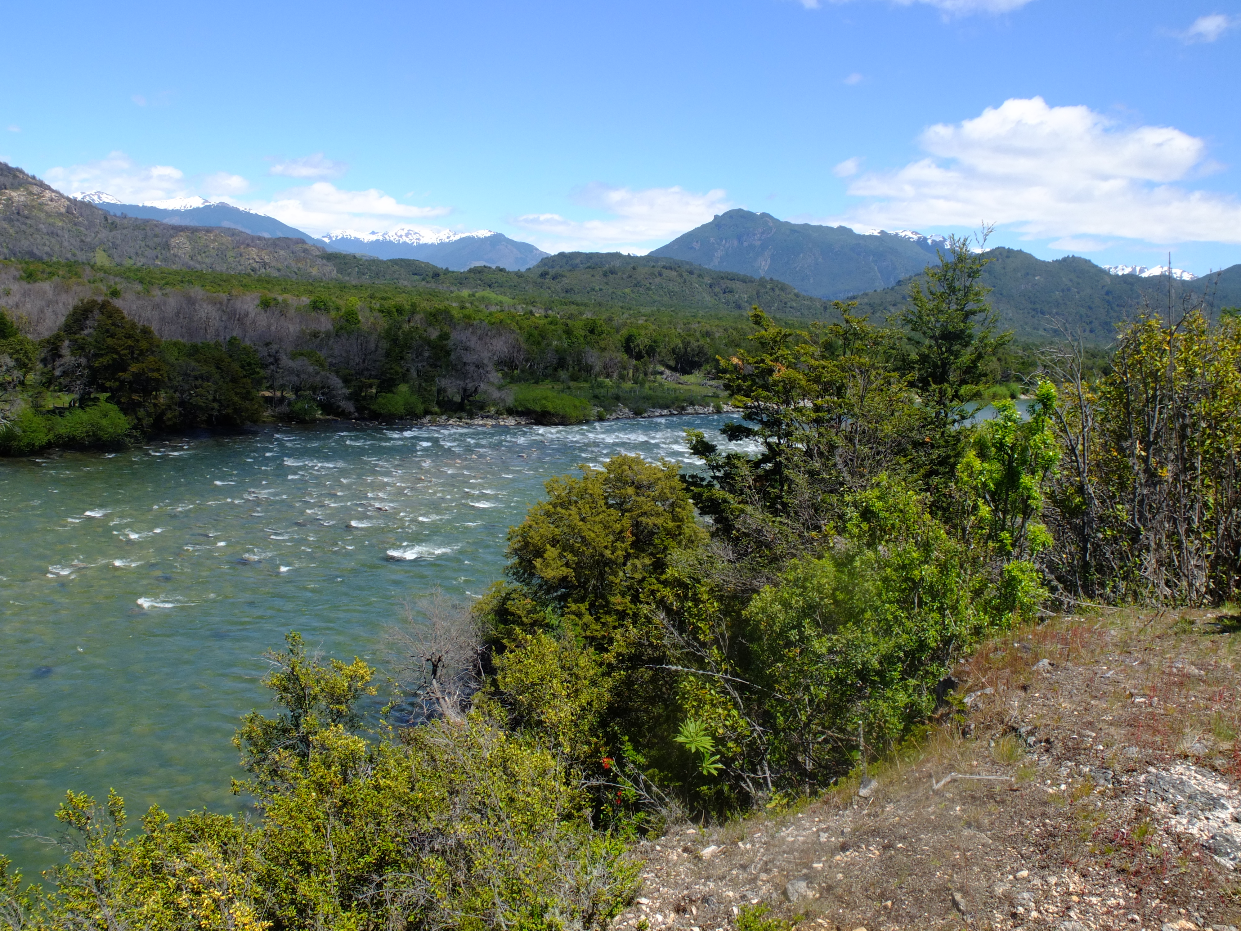 Beautiful river flowing through lush green landscape with mountains in the background.