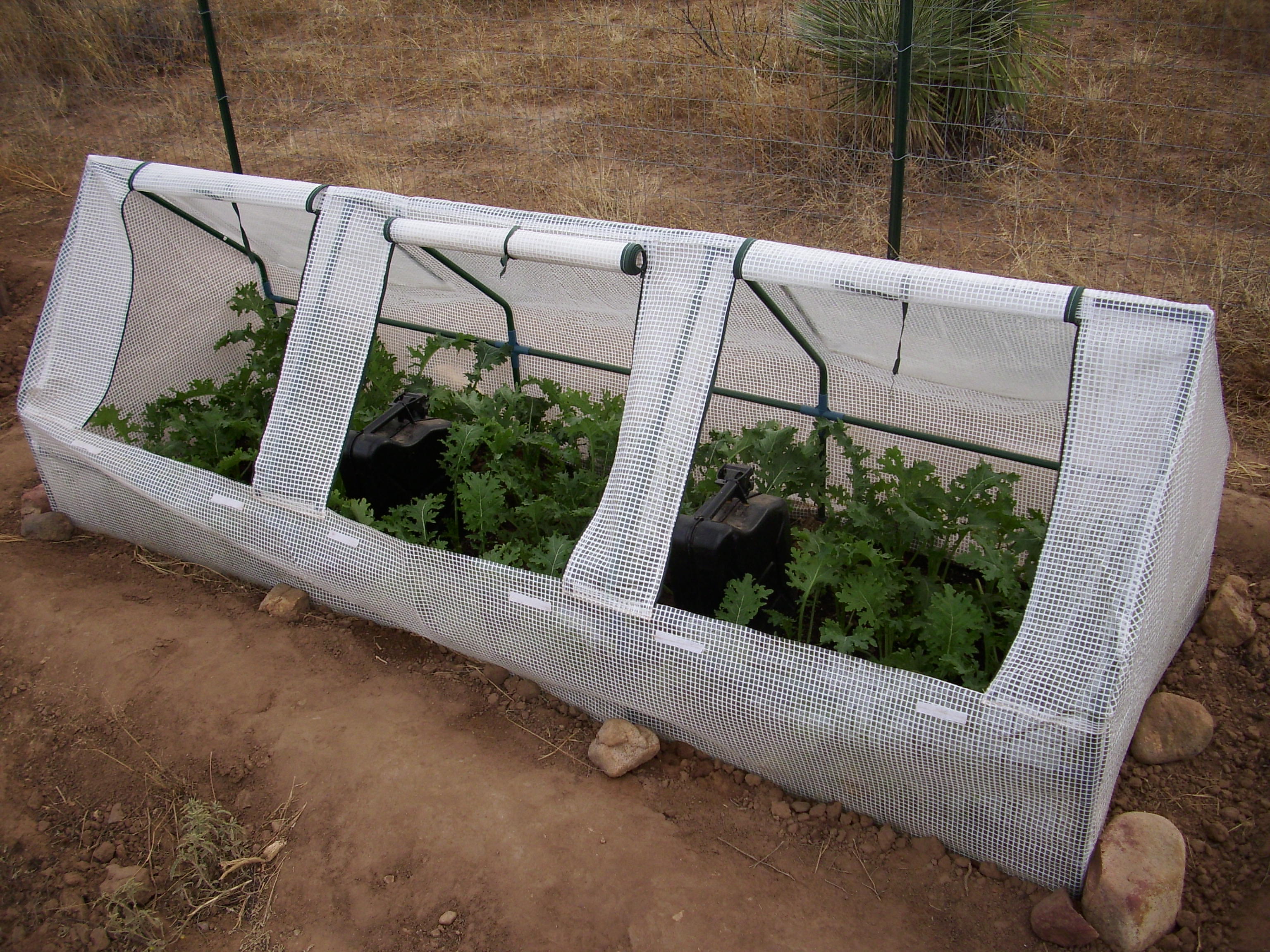 Mini greenhouse with mesh sides for community gardening and plant growth.