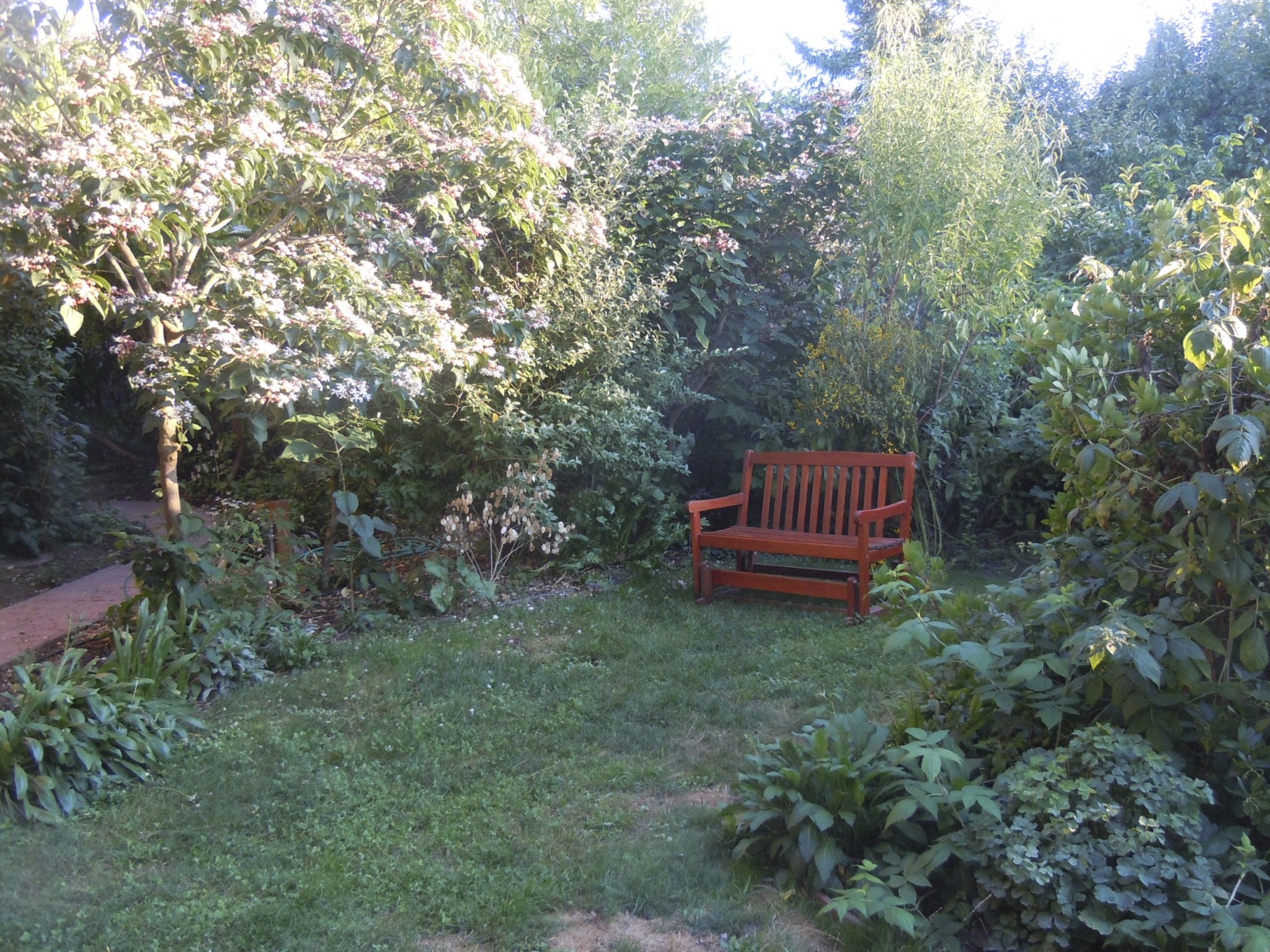 Peaceful garden scene with a red bench surrounded by lush greenery.