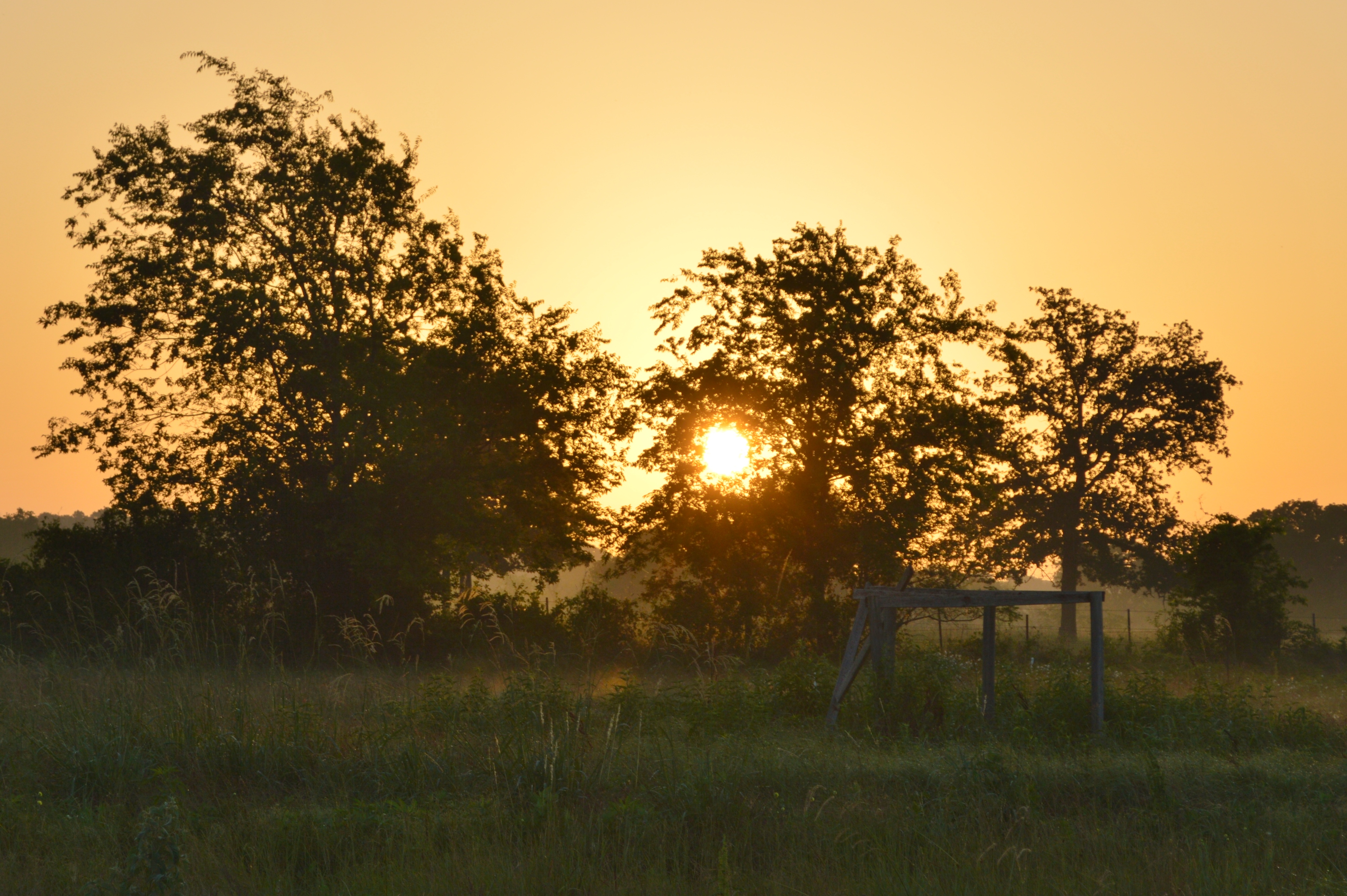 Sunset behind trees in a peaceful rural setting with a wooden structure.