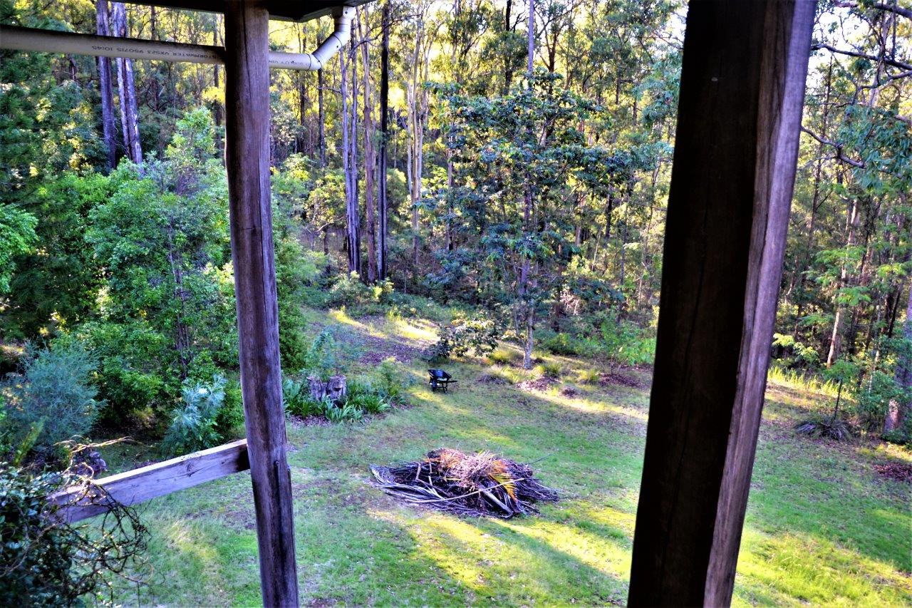 Scenic view of forest from yoga retreat with trees and greenery.