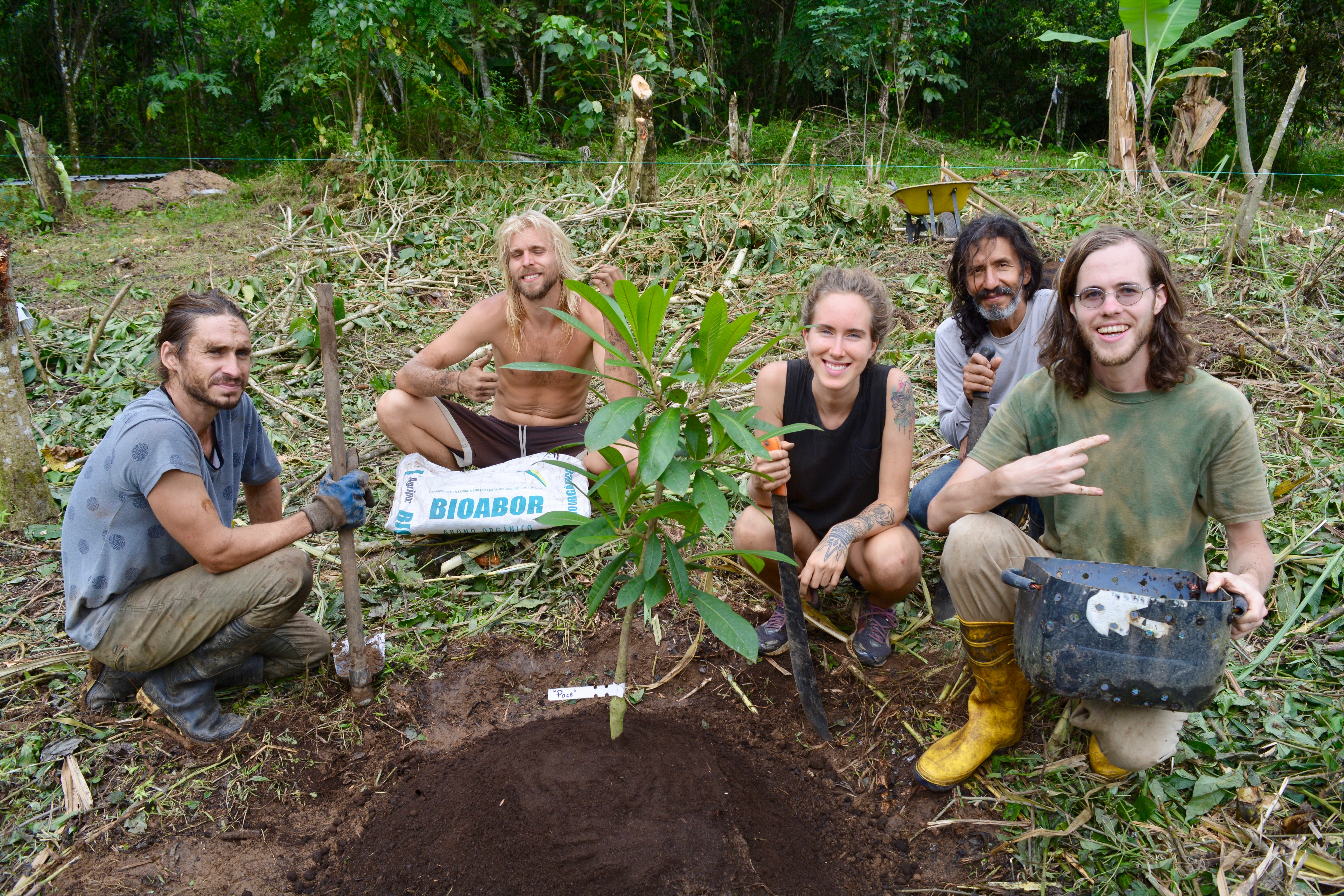 Group planting a tree at Fruit Haven Ecovillage for sustainability.