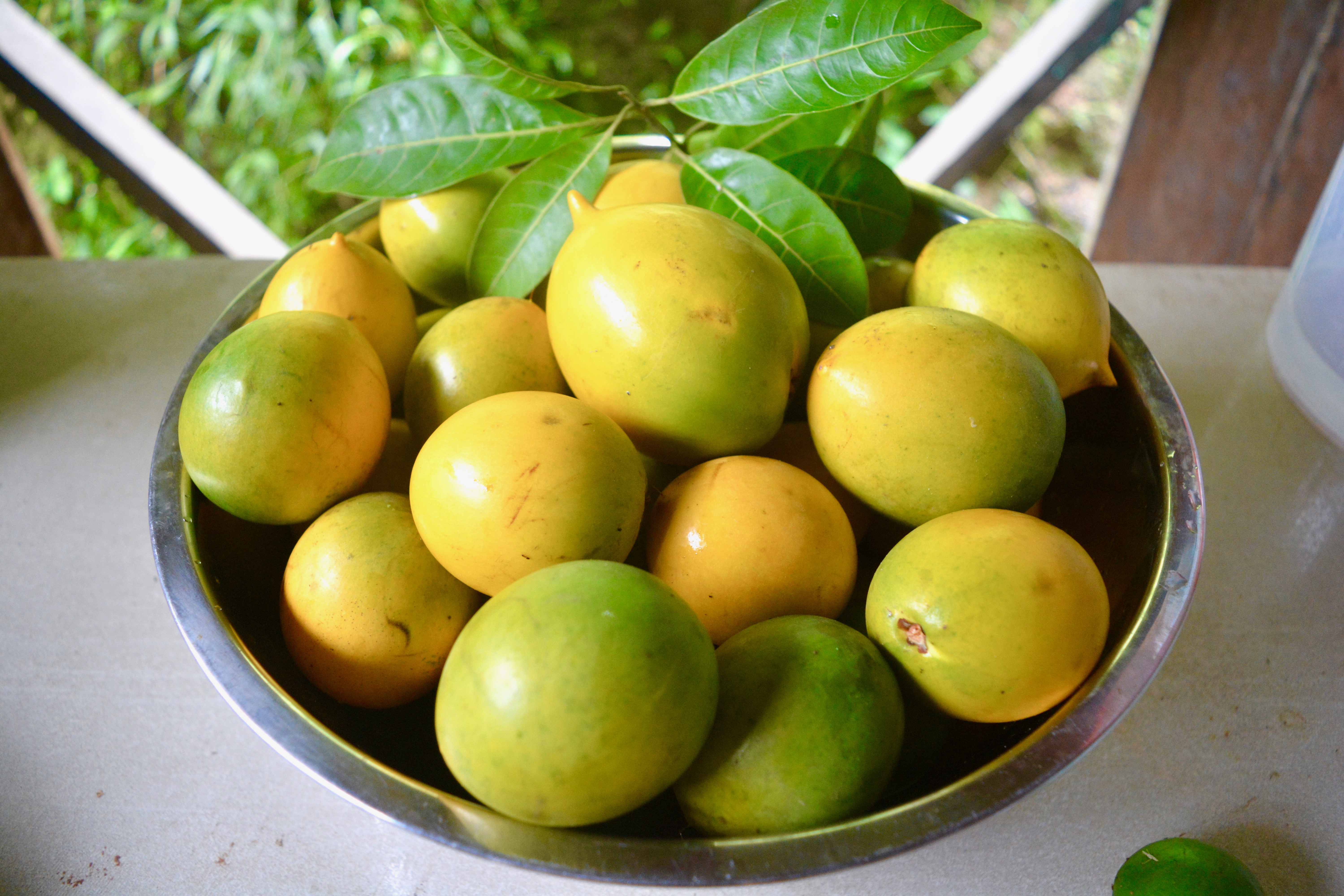 Fresh apples from Fruit Haven Ecovillage for sustainable living.