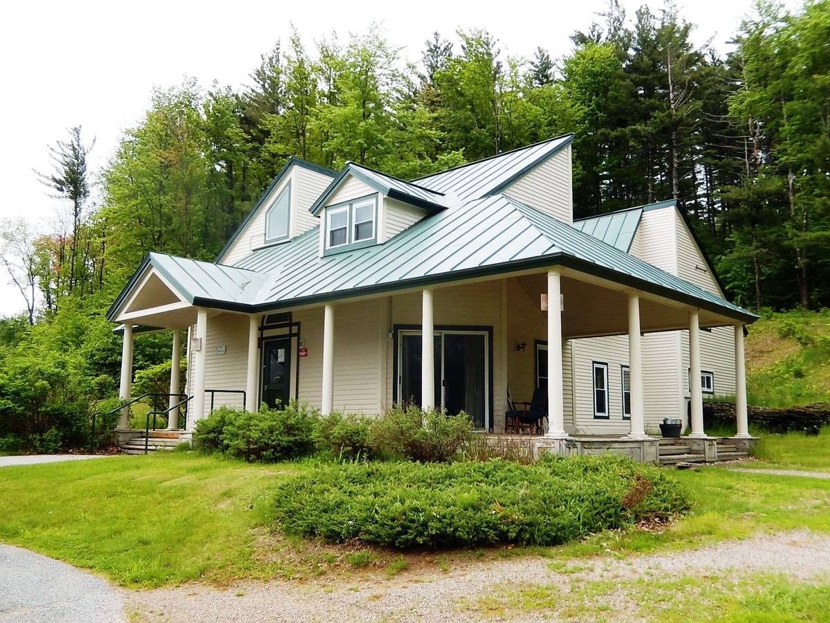 Contemporary house with metal roof surrounded by greenery and trees.