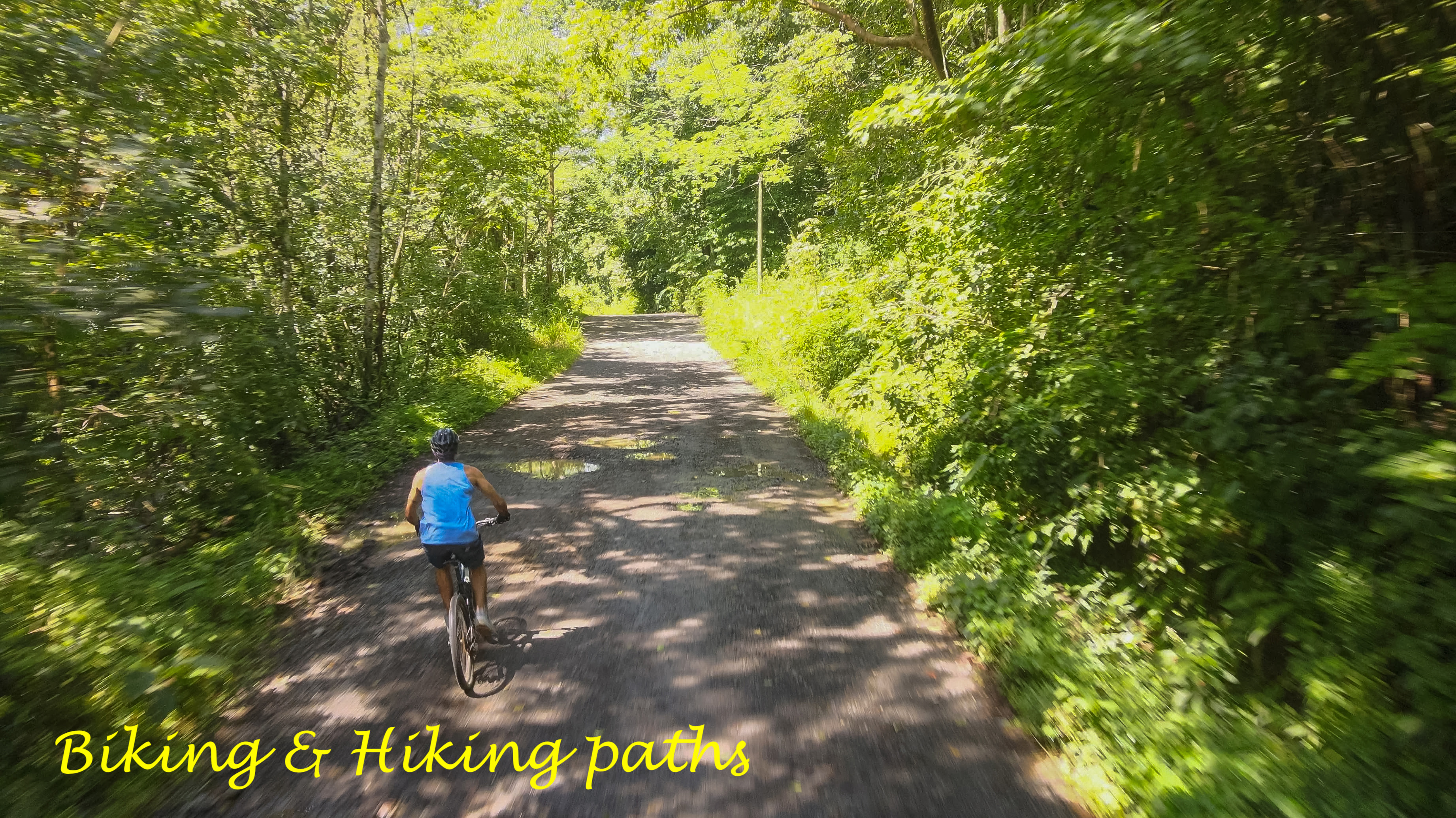 Biking and hiking paths surrounded by lush green forest in Costa Rica.
