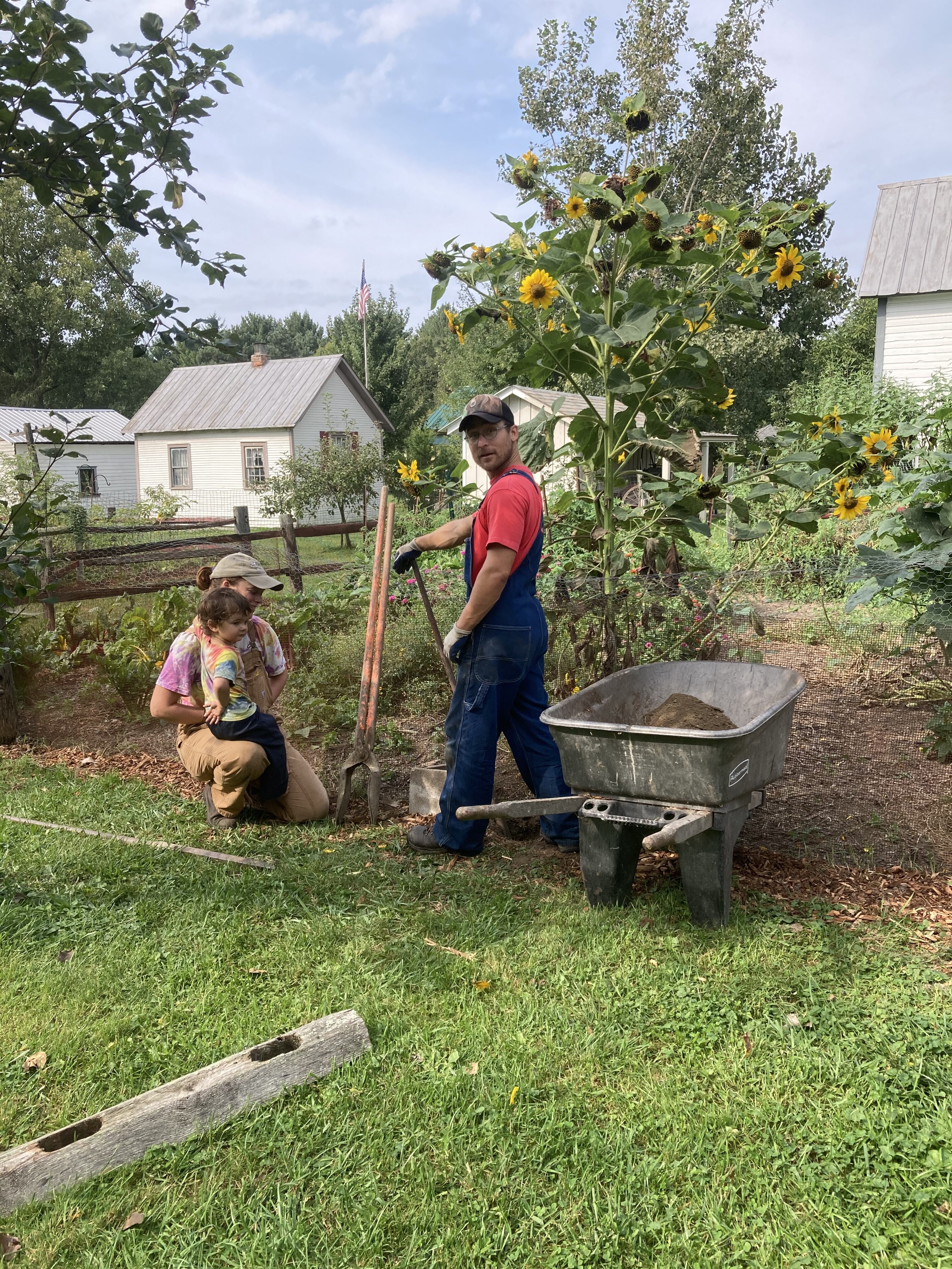 People planting a tree in a community garden with sunflowers and houses in the background.