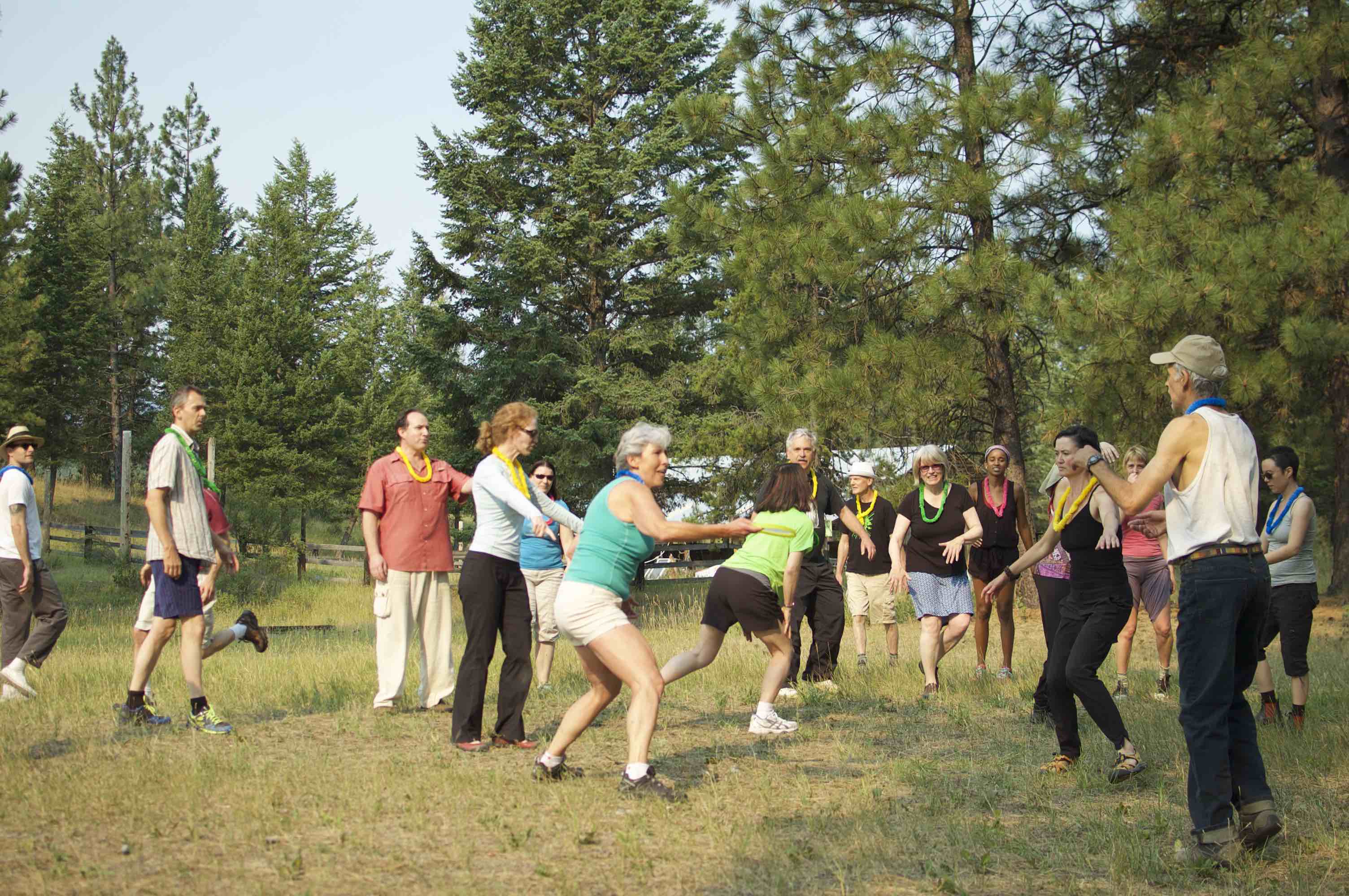Group of people holding hands in circle outdoors at Clear Sky Meditation Center.