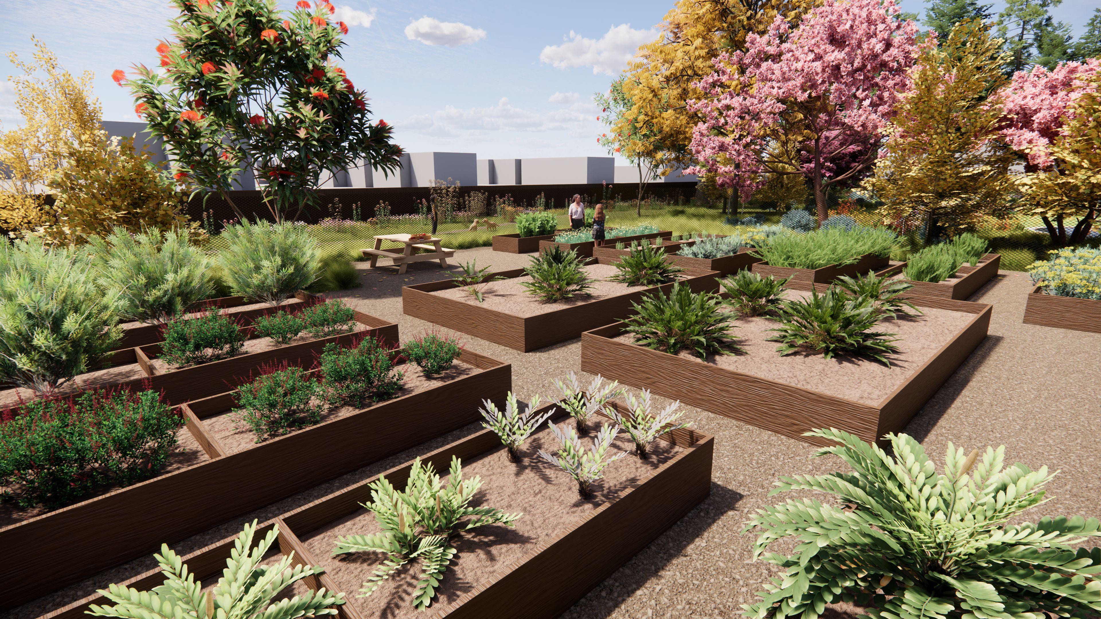 Community garden with raised beds, lush plants, and flowering trees.