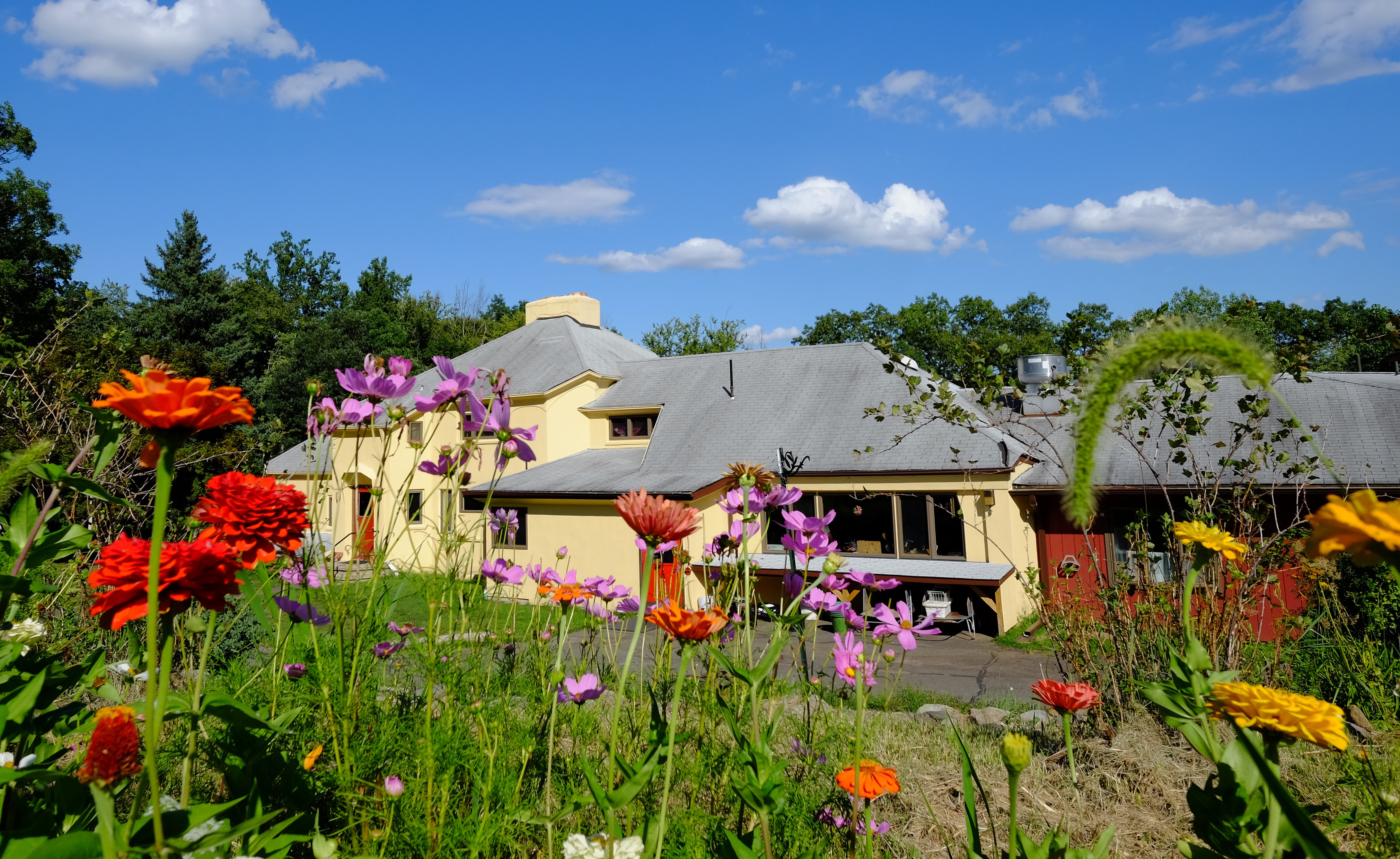 Colorful garden with community building in the background under blue sky.