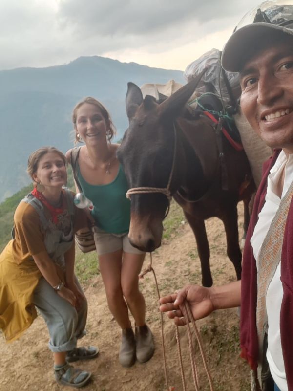 Group of hikers with a donkey in a mountainous landscape.