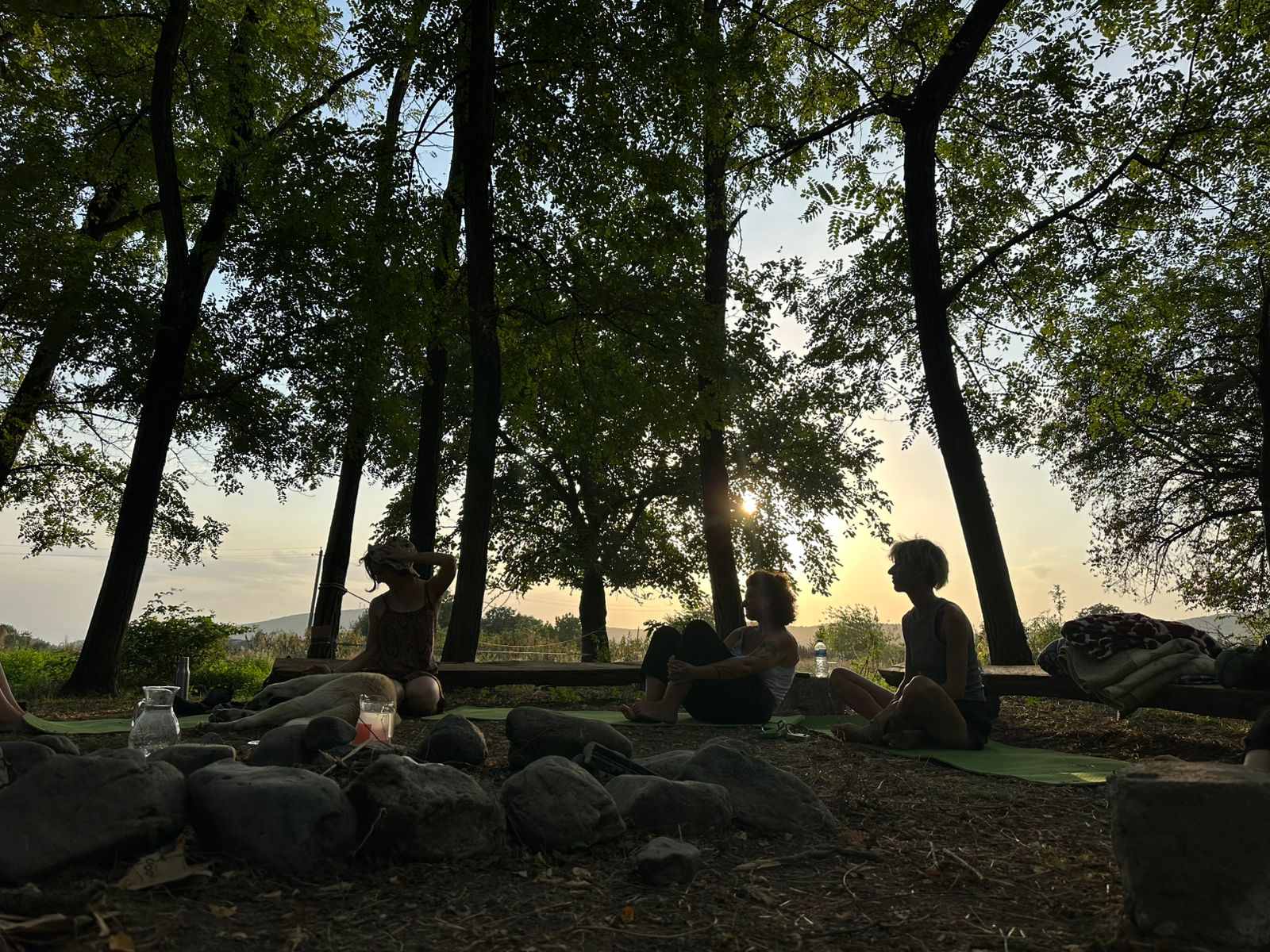People sitting in a circle under trees at Ecovillage Georgia.