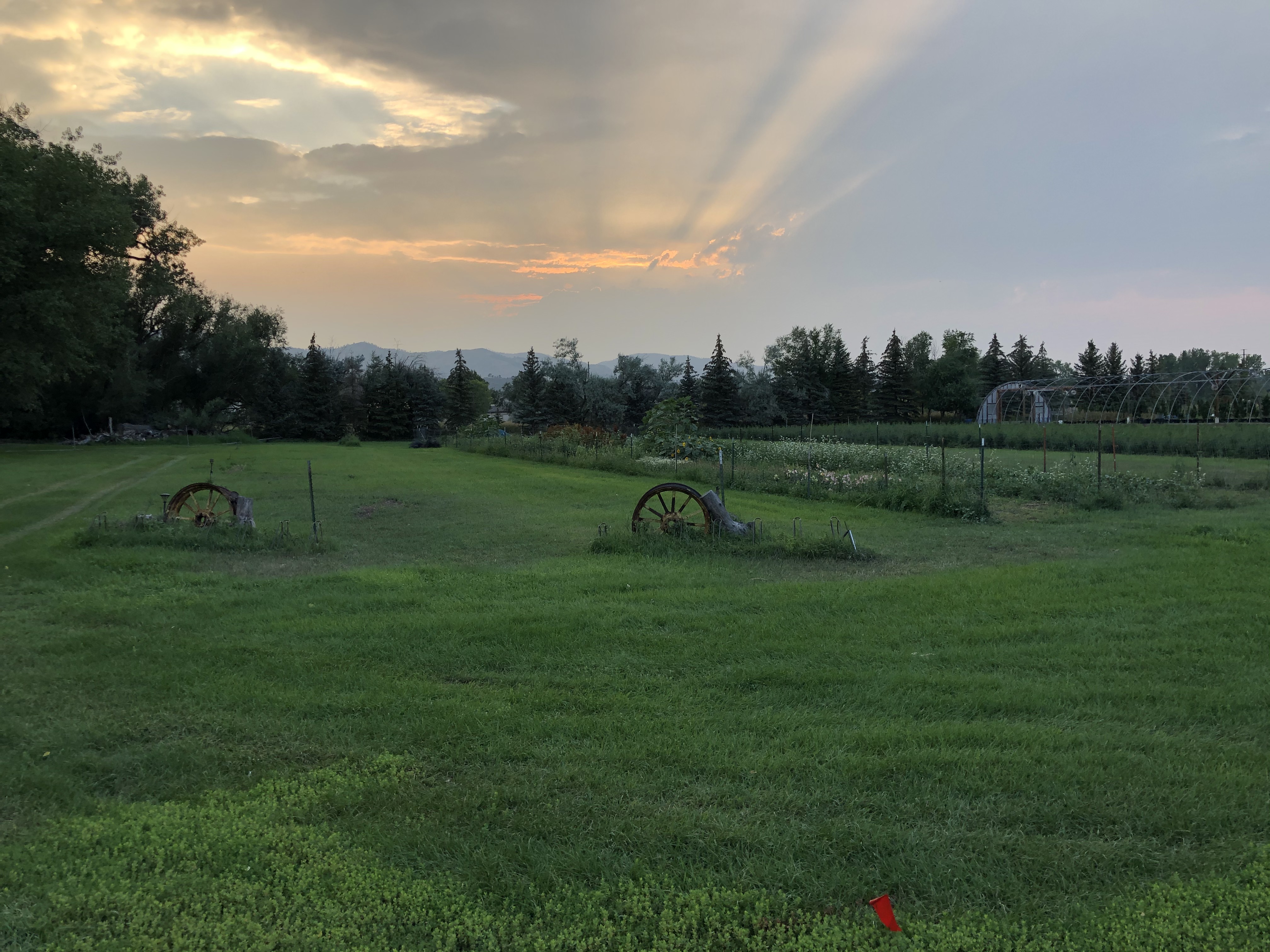 Beautiful rural landscape with green fields and sunset sky.