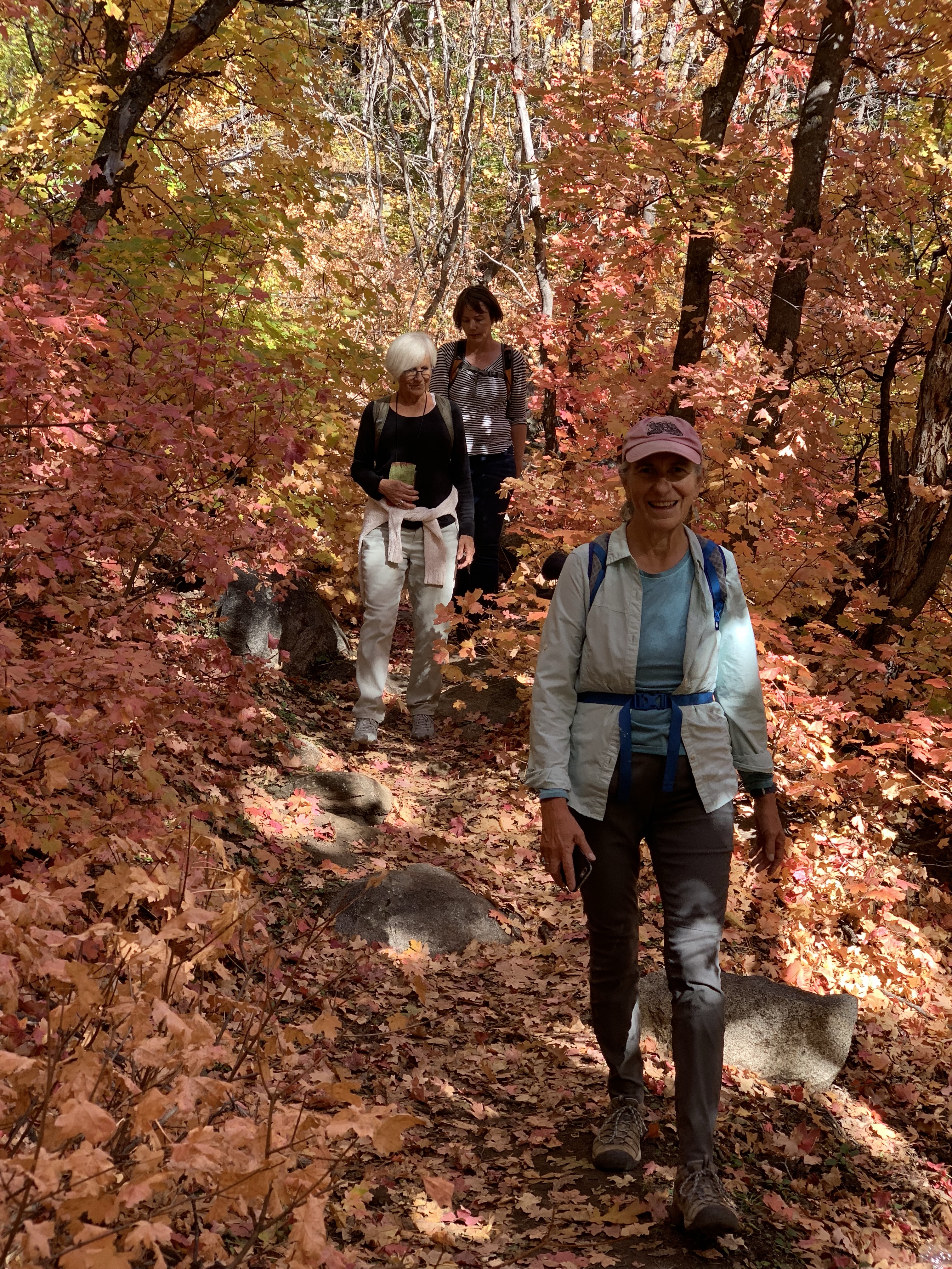 Group of people hiking through colorful fall forest in autumn.