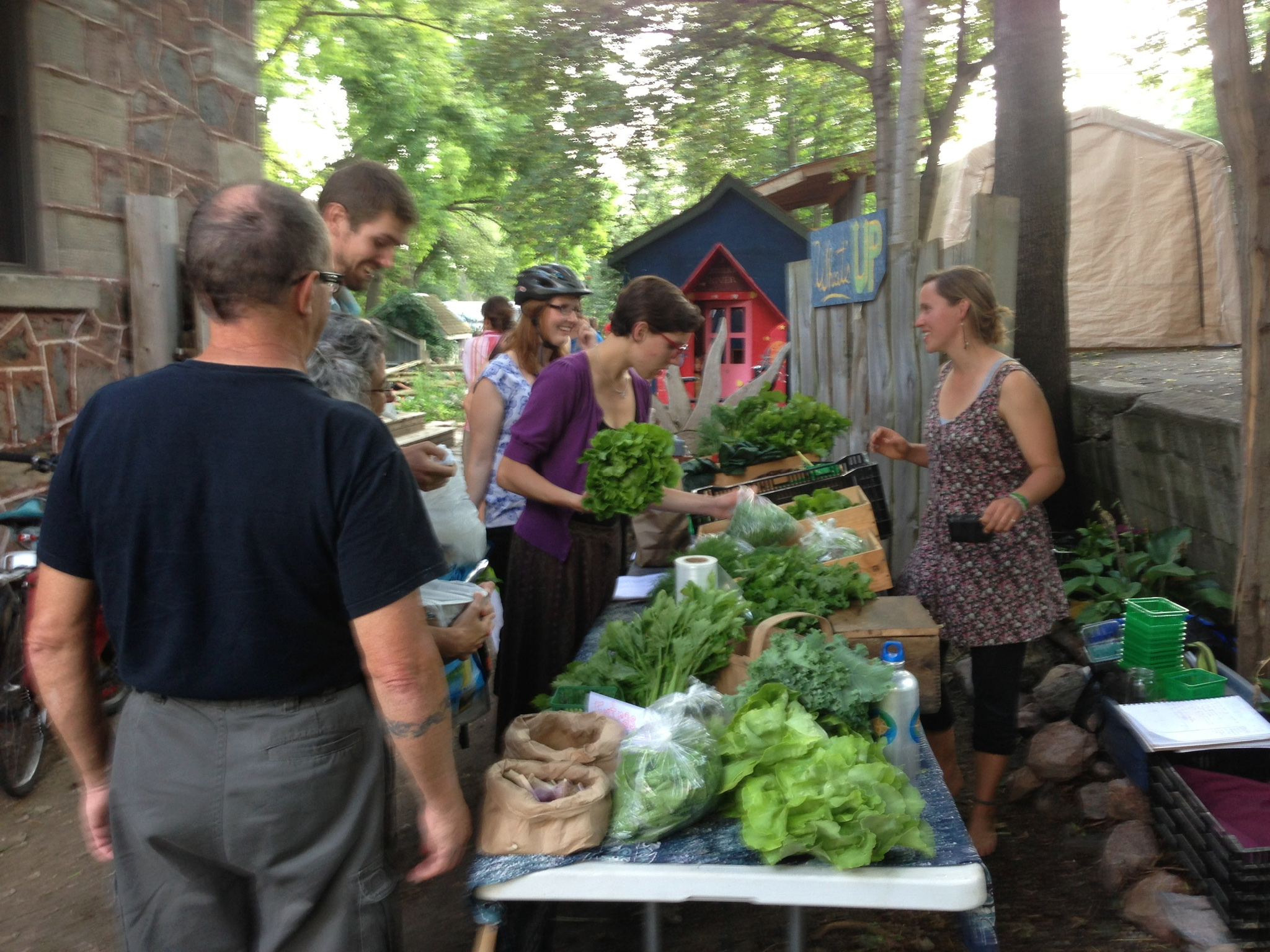 People shopping at a community market with fresh vegetables in a wooded area.
