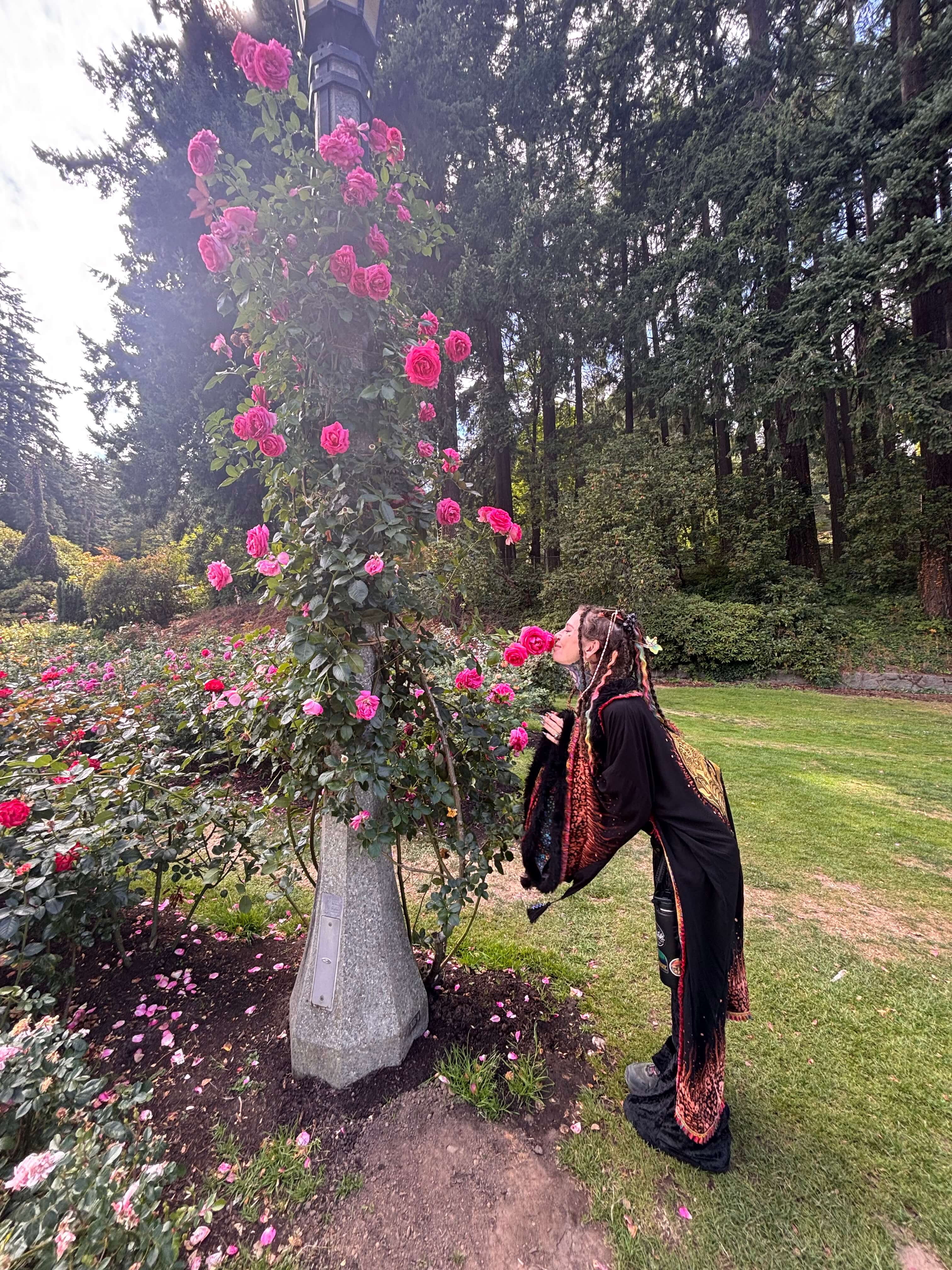 Person smelling pink roses in a lush garden setting.