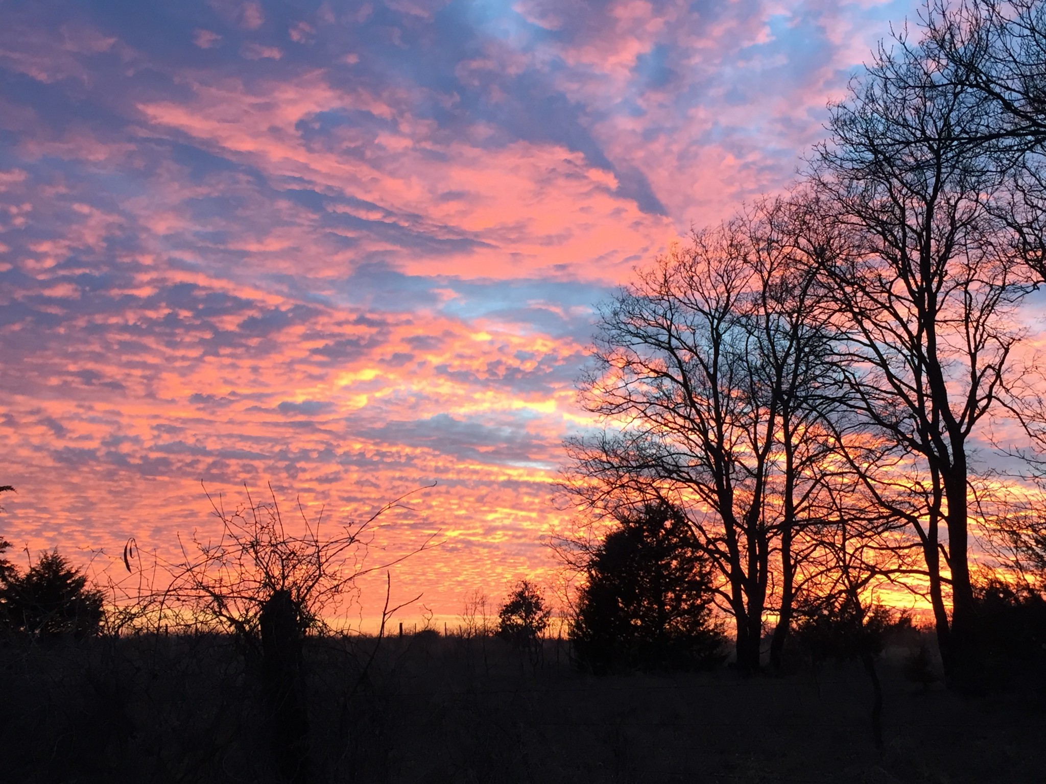Beautiful sunset with colorful sky and silhouetted trees in Country Gardens.