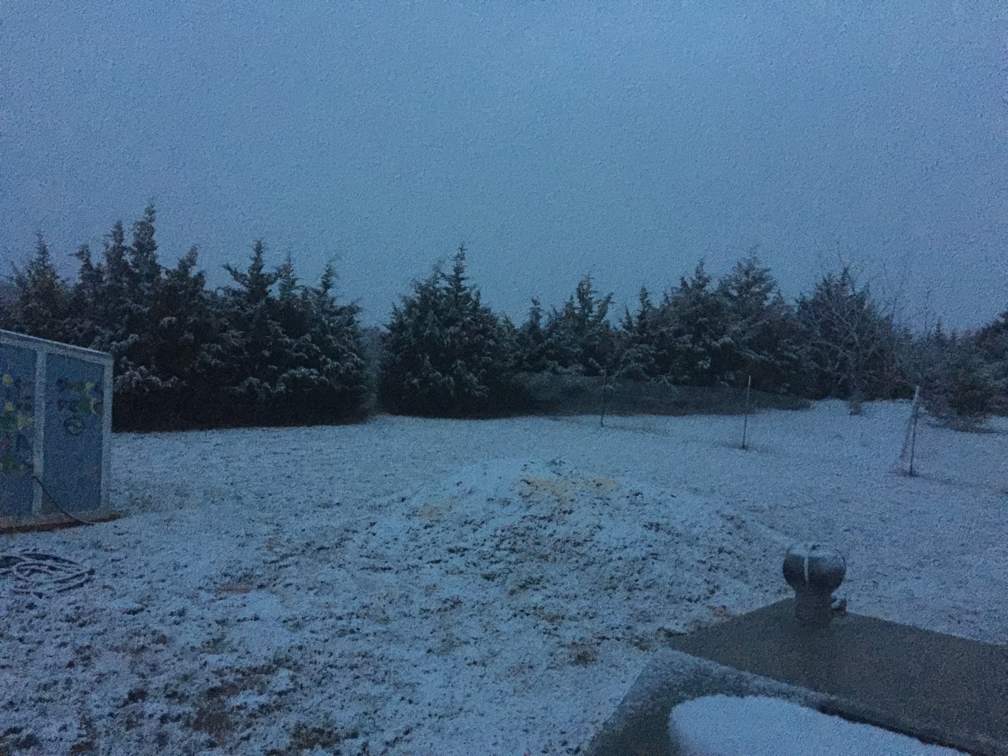 Snow-covered field with trees and a water fountain in winter.