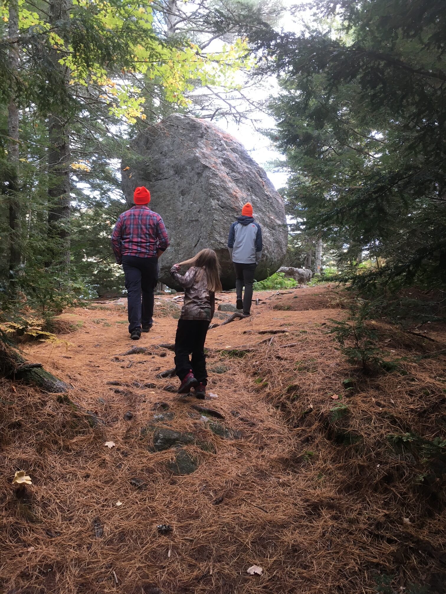Family hiking in forest with large boulder, wearing orange hats.