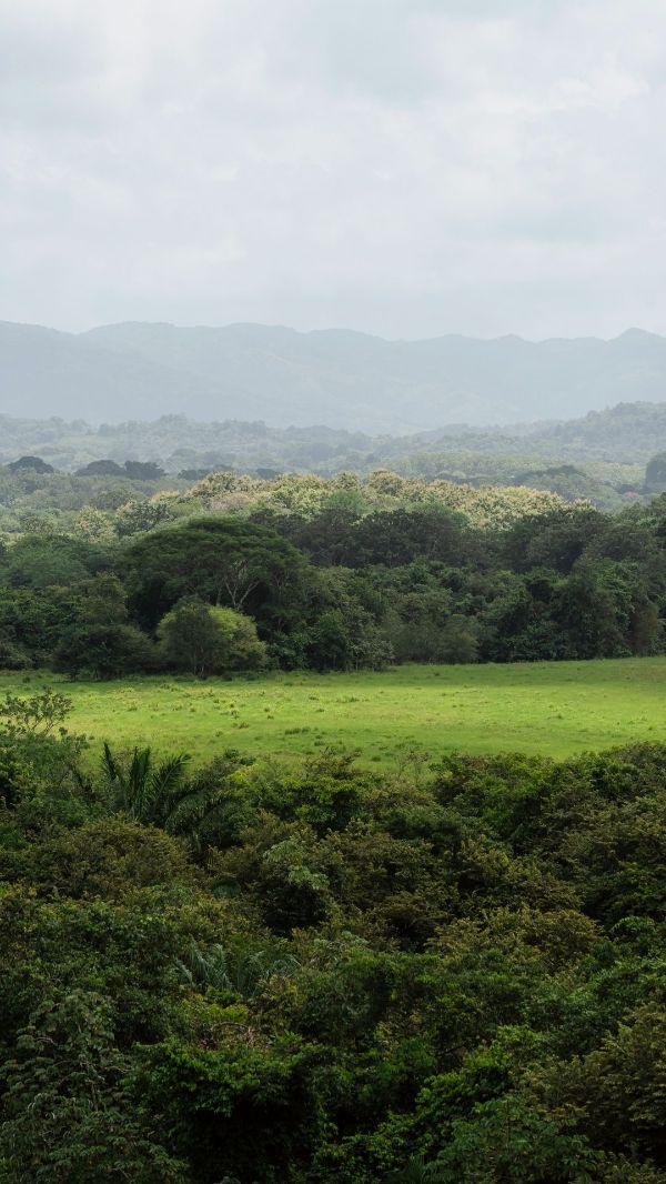 Scenic view of green fields and forested hills in a rural setting.