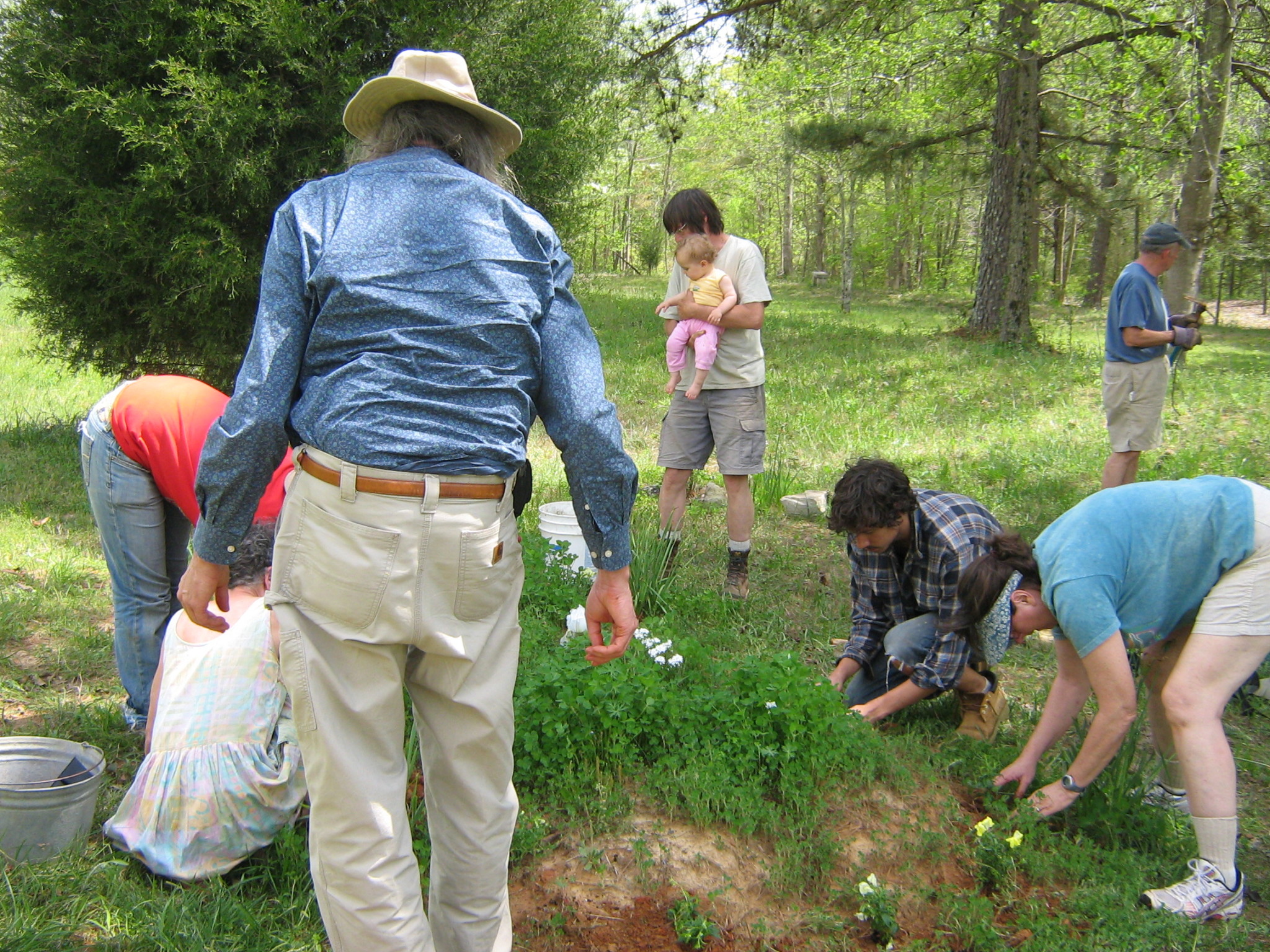 People gardening and planting in a lush green outdoor setting.