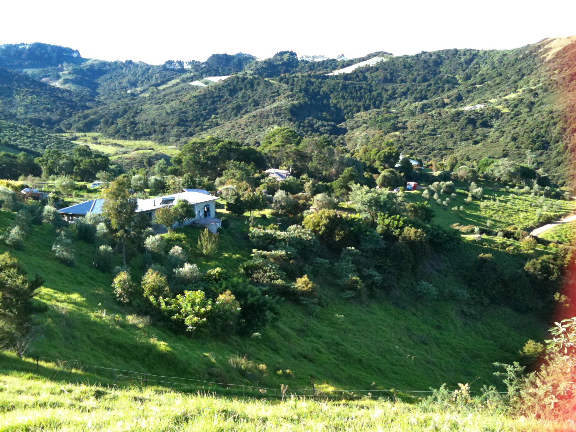 Scenic view of eco-village with lush greenery and rolling hills in Awaawaroa Bay.