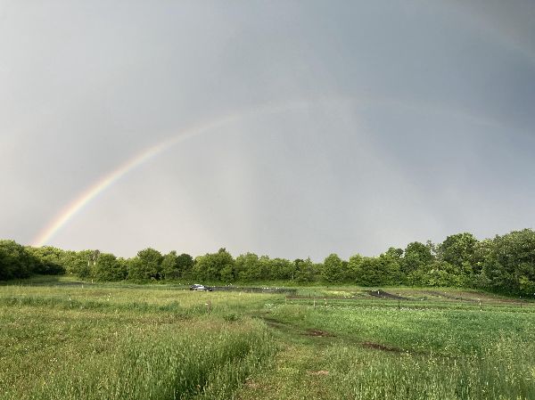 Rainbow arching over lush green farm fields and trees.