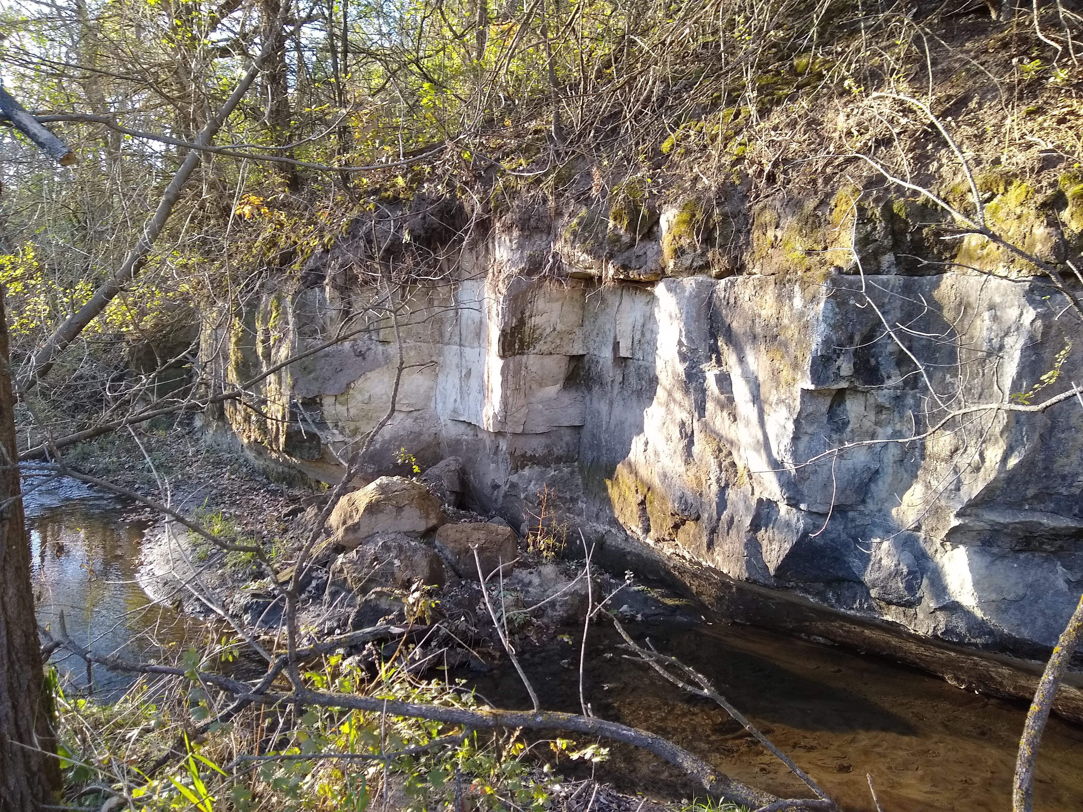 Rocky stream flowing through a forest with trees and moss-covered rocks.