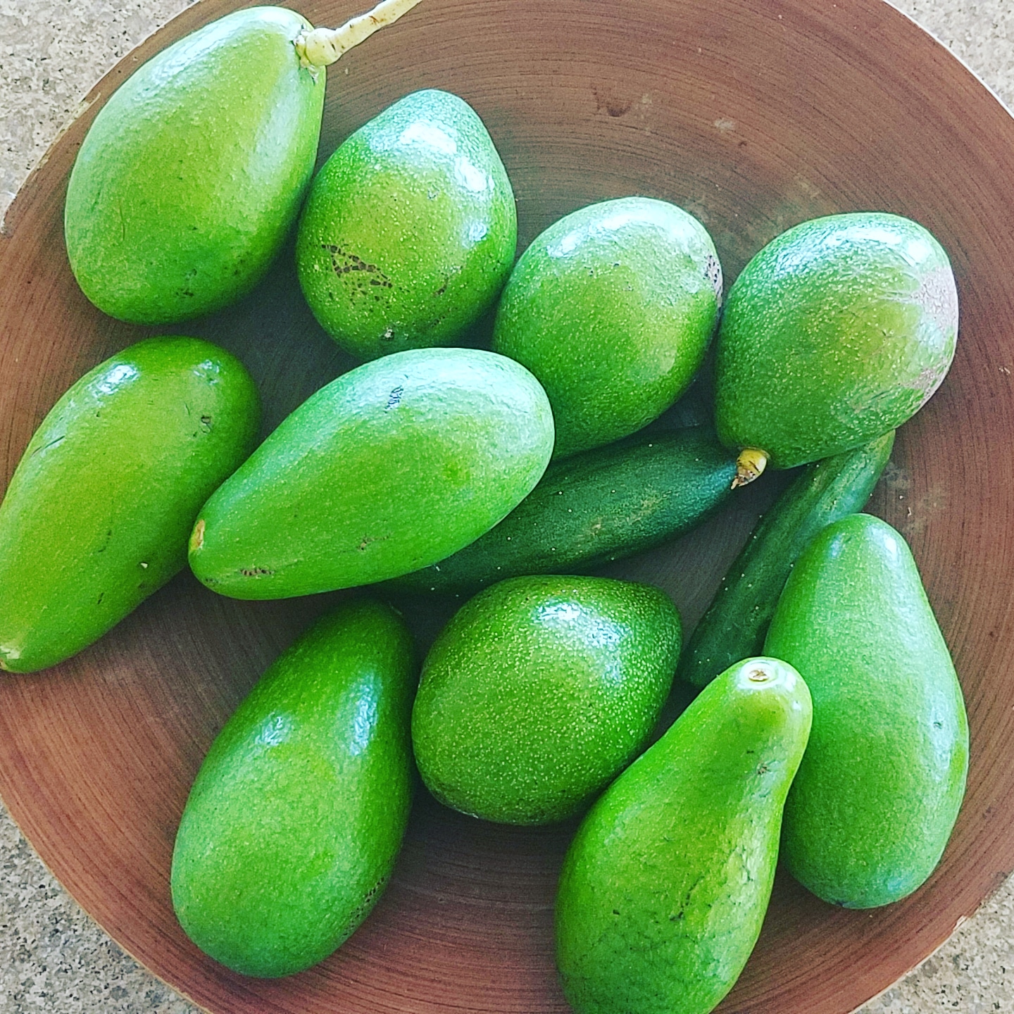 Fresh green avocados in a wooden bowl, ready for consumption.