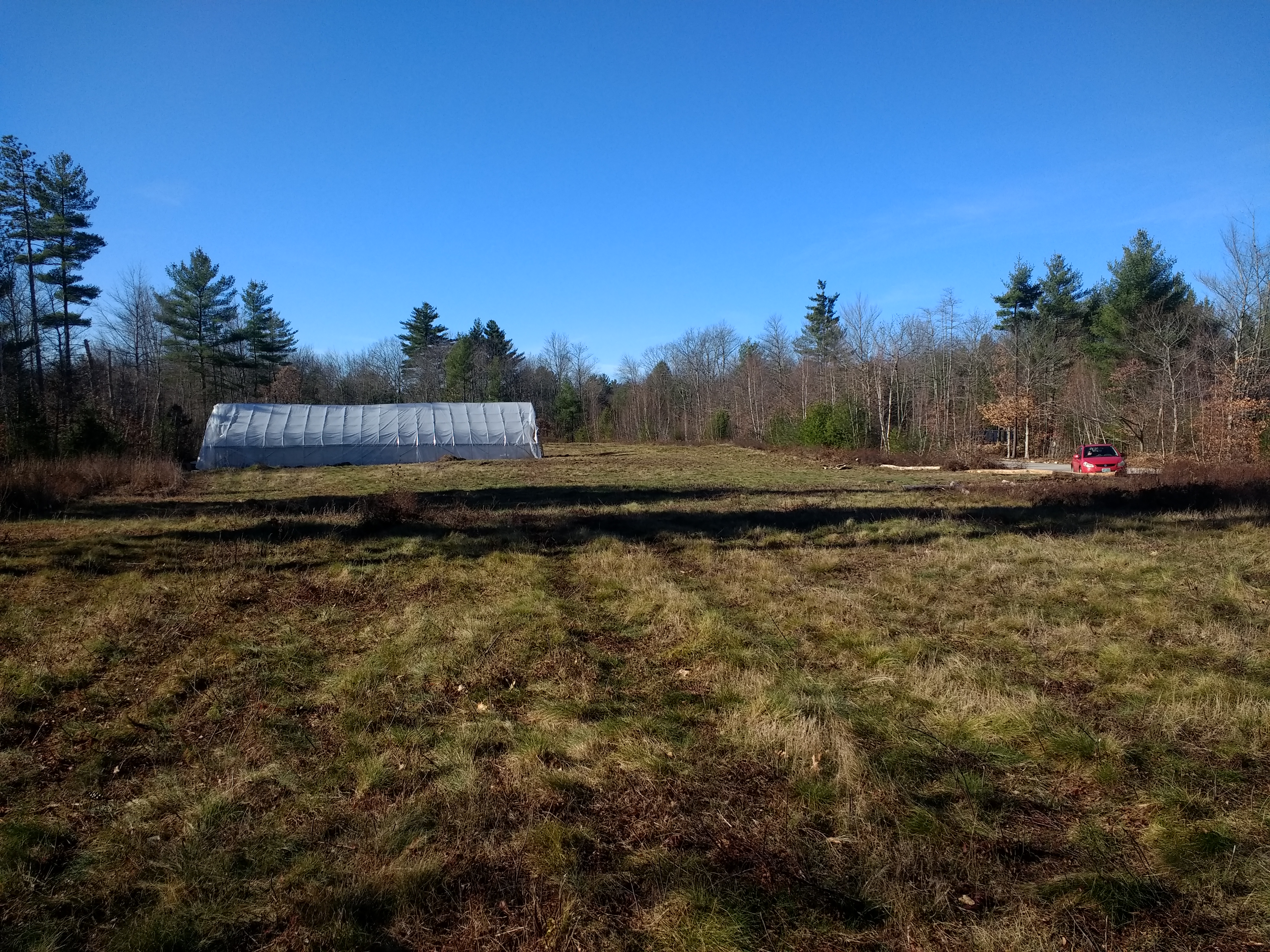 Open farmland with greenhouse and trees under a blue sky.