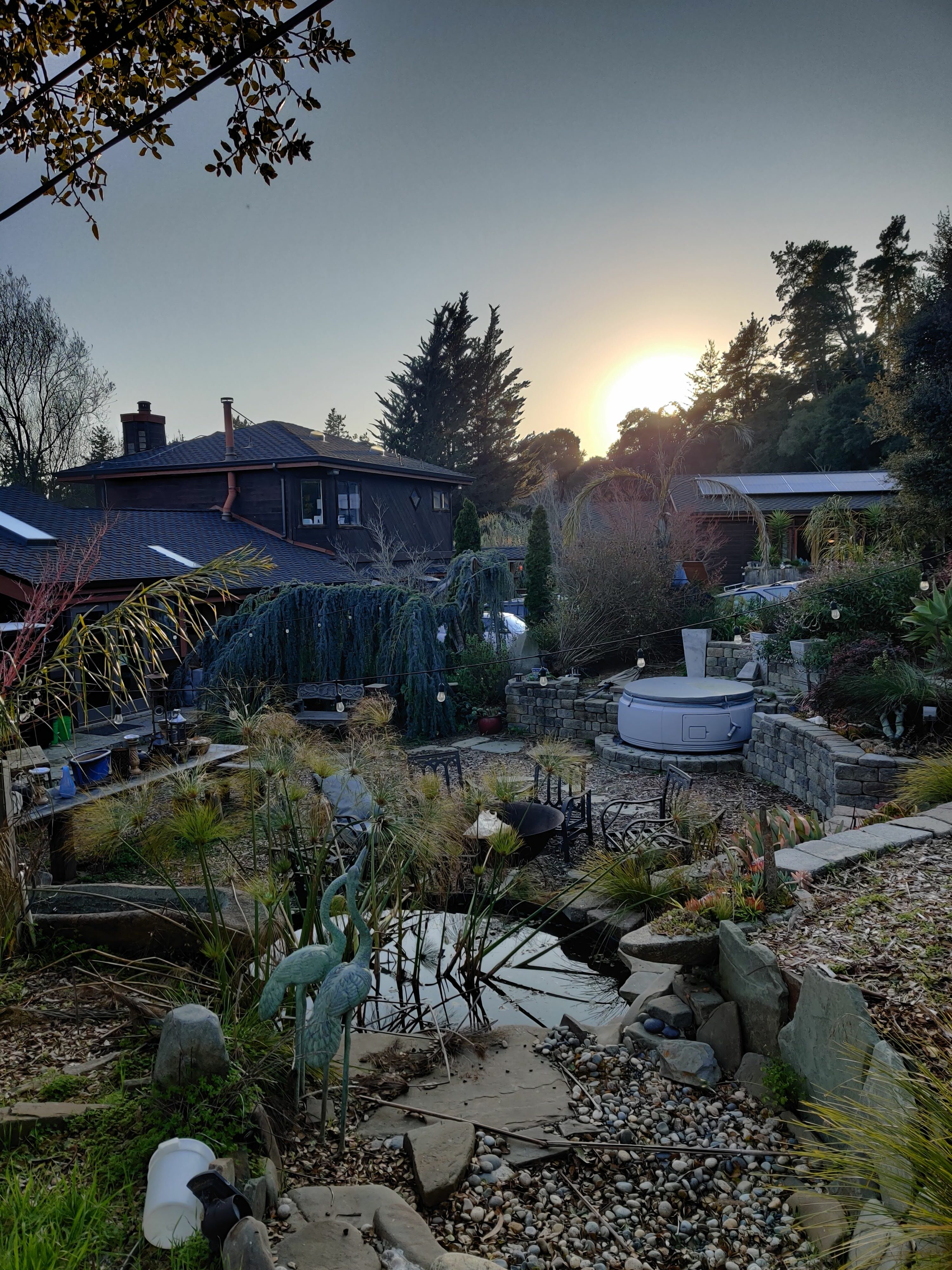 Community garden with plants, pond, and sculptures at sunset.