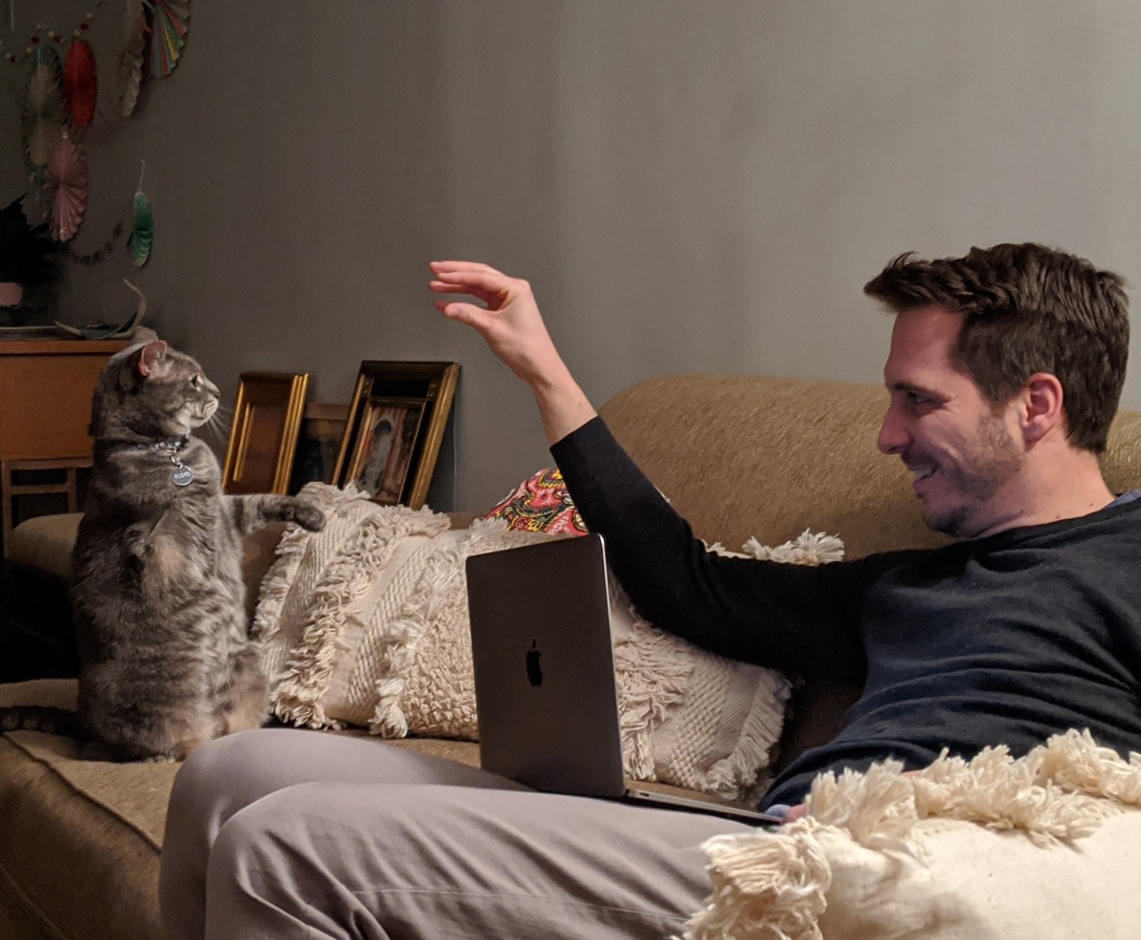 Man playing with a cat on a sofa with a laptop nearby.