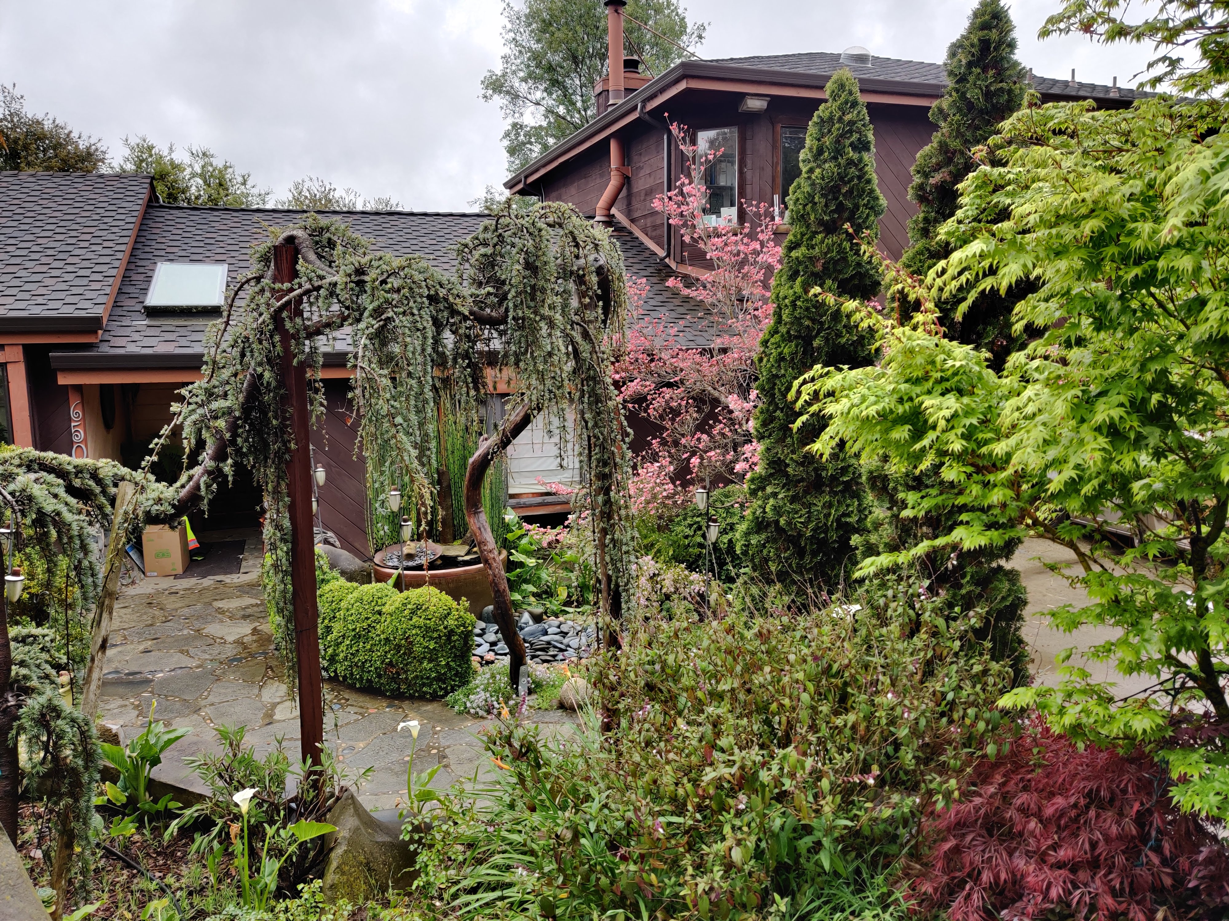 Lush garden with trees, shrubs, and a house in the background at Foundation for Intentional Comun.