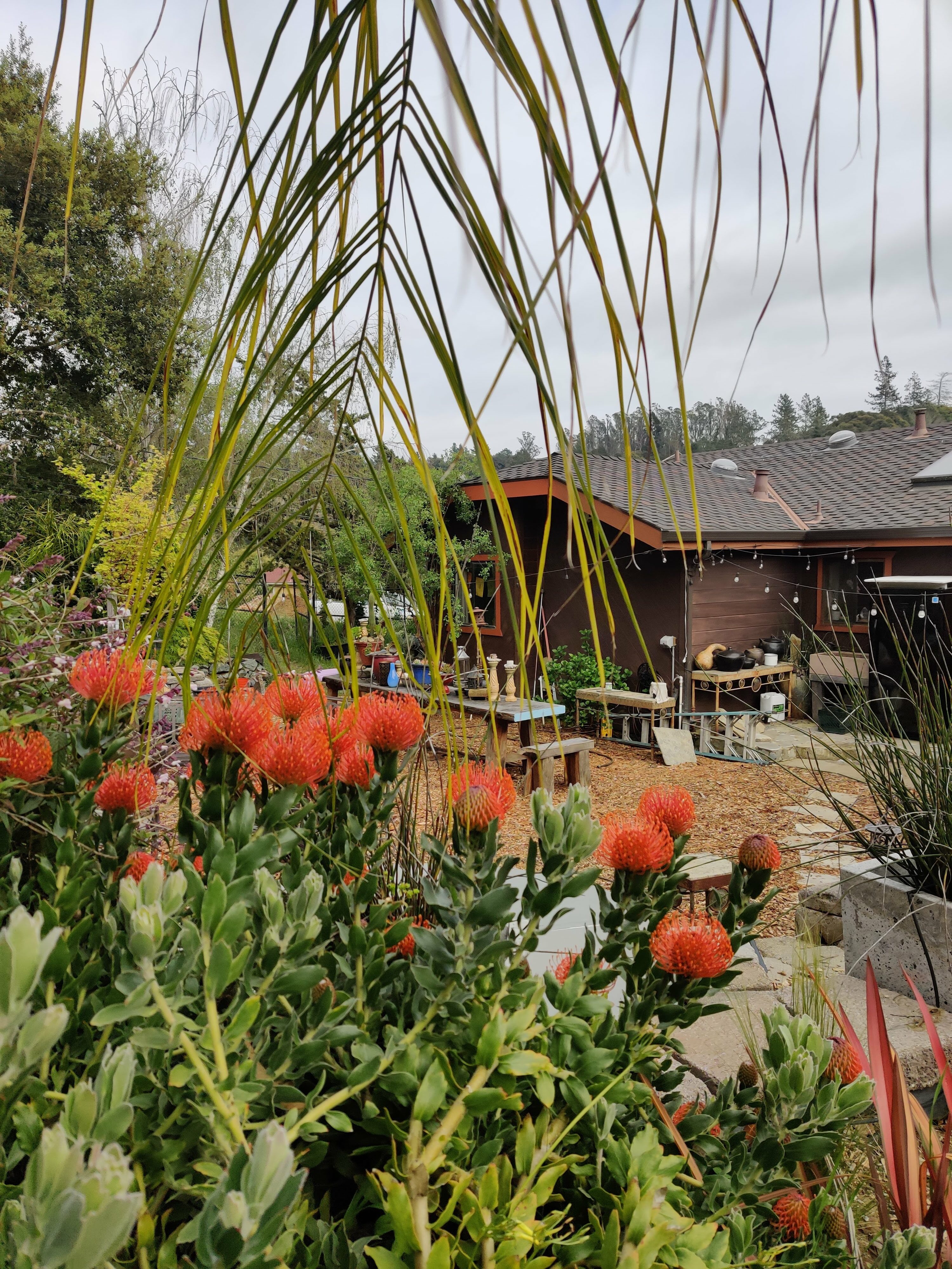 Lush garden with vibrant orange flowers and outdoor seating area.