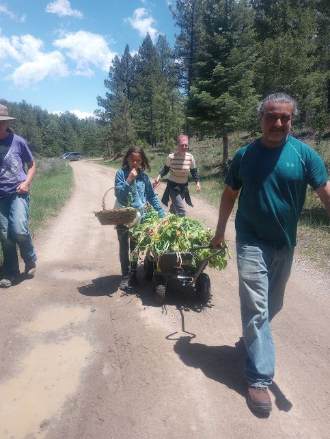 People walking on a dirt trail in a forested area with plants and trees.