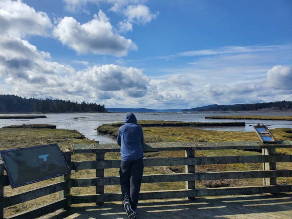 Person standing on a wooden observation deck overlooking wetlands and a river under a cloudy sky.