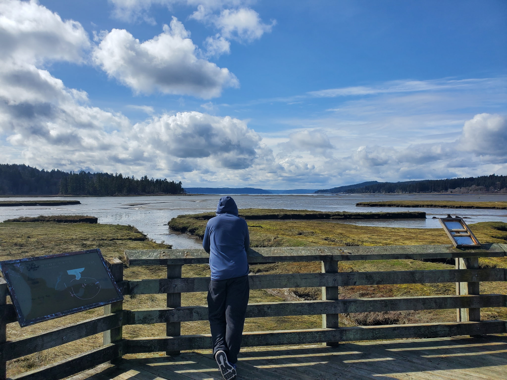 Person standing on a wooden observation deck overlooking wetlands and a river under a cloudy sky.