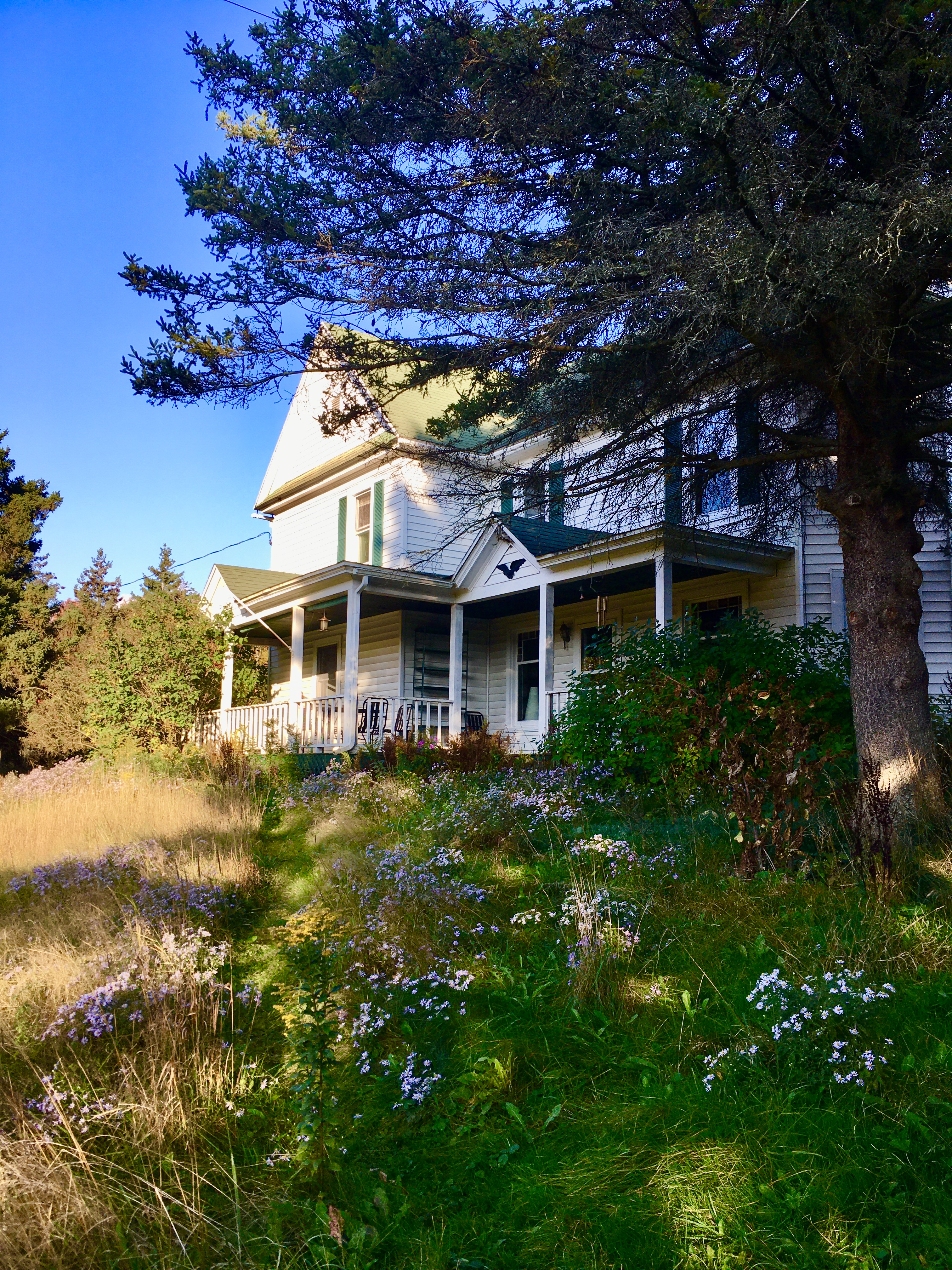 Charming historic farmhouse surrounded by wildflowers and trees at Mawuni Farm.